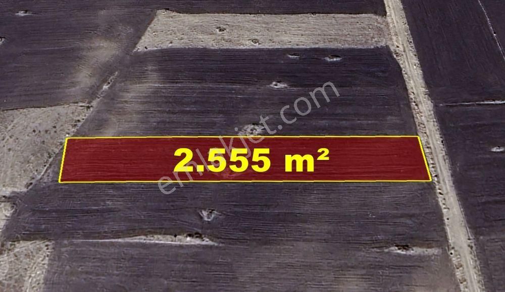 Konya / Akören / Tülce Mahallesinde 2.555 M² Müstakil Tapulu Tarla