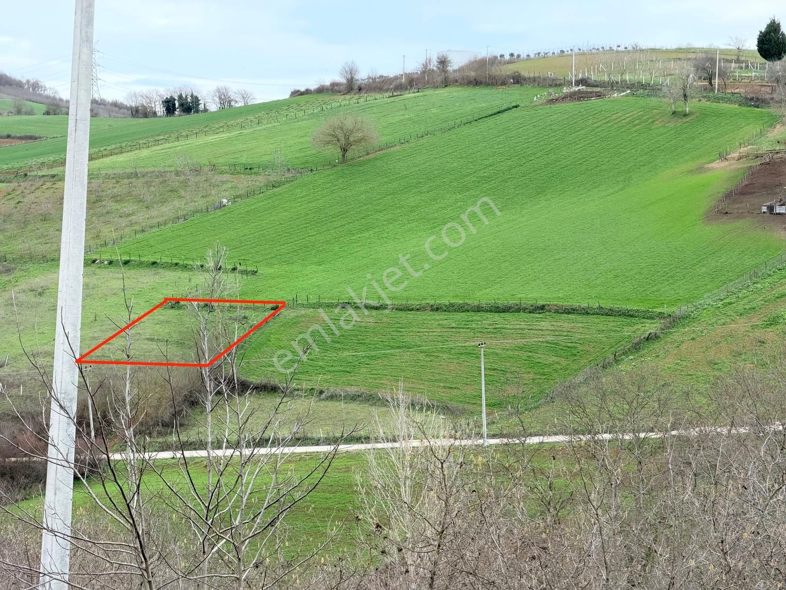 Kandıra Selimköyde Satılık Muhteşem Konumda Arta - Görsel 2