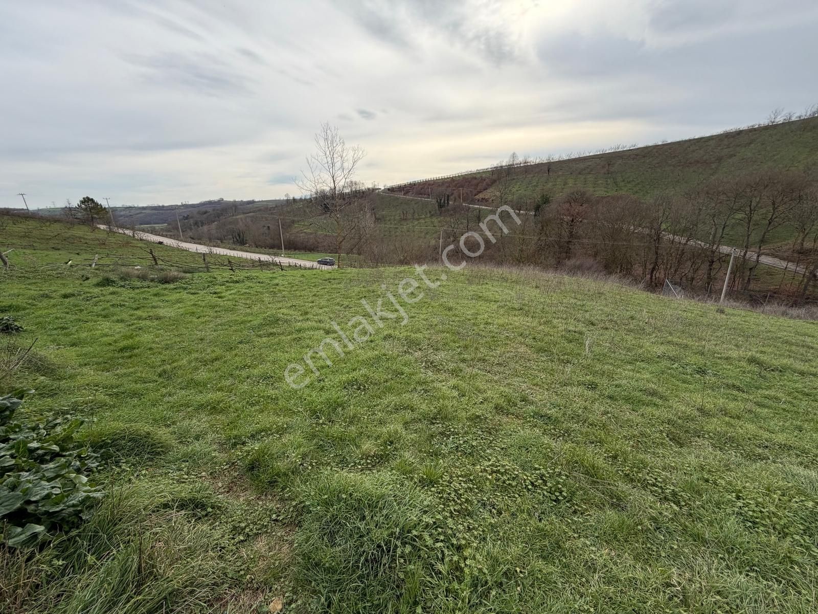 Kandıra Selimköyde Satılık Muhteşem Konumda Arta - Görsel 15