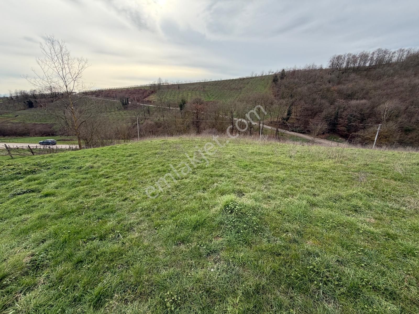 Kandıra Selimköyde Satılık Muhteşem Konumda Arta - Görsel 12