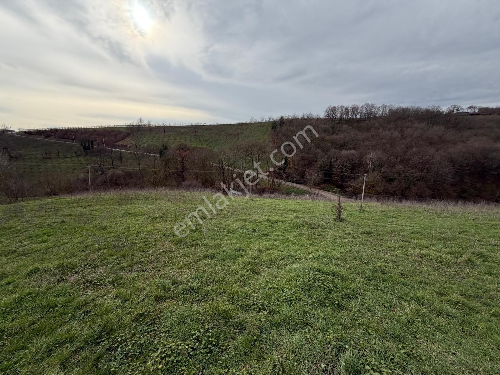 Kandıra Selimköyde Satılık Muhteşem Konumda Arta - Görsel 14