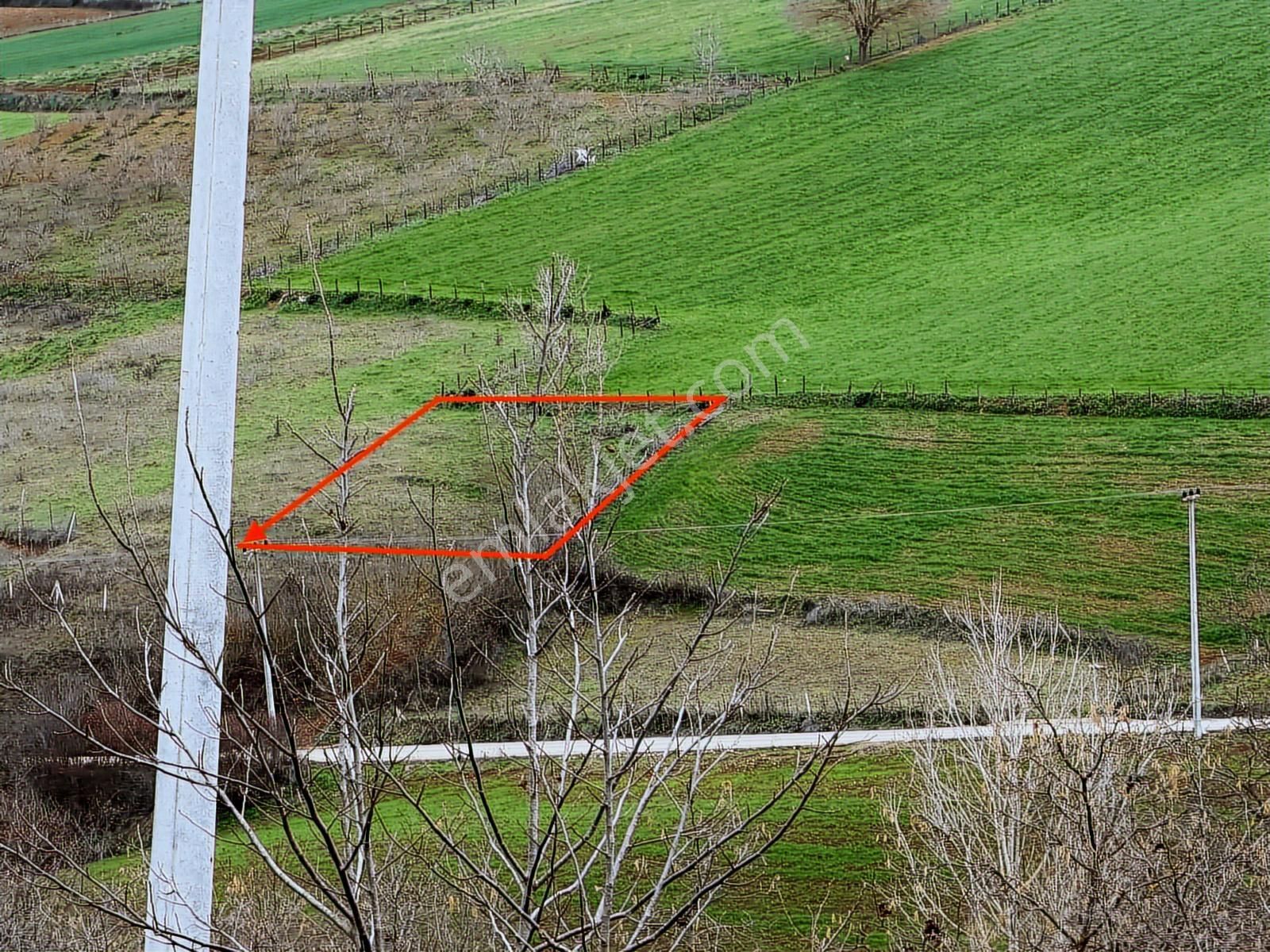 Kandıra Selimköyde Satılık Muhteşem Konumda Arta