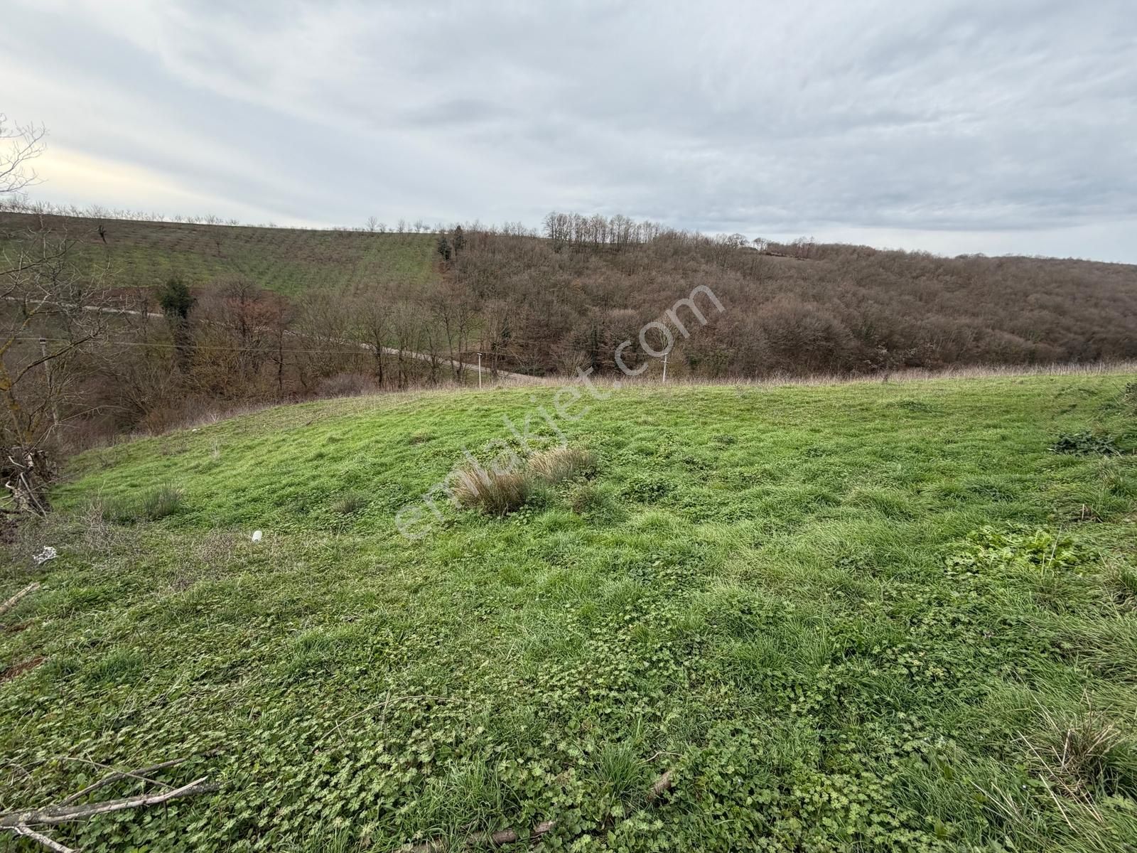 Kandıra Selimköyde Satılık Muhteşem Konumda Arta - Görsel 5