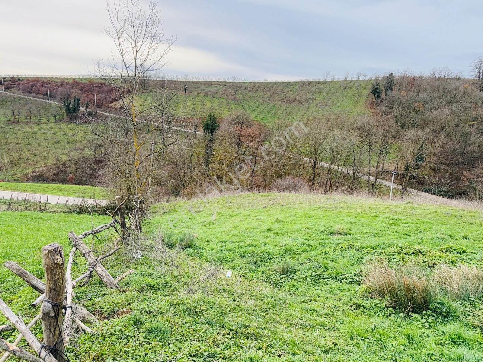 Kandıra Selimköyde Satılık Muhteşem Konumda Arta - Görsel 4