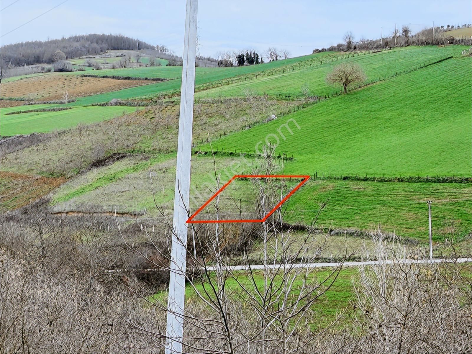 Kandıra Selimköyde Satılık Muhteşem Konumda Arta - Görsel 17