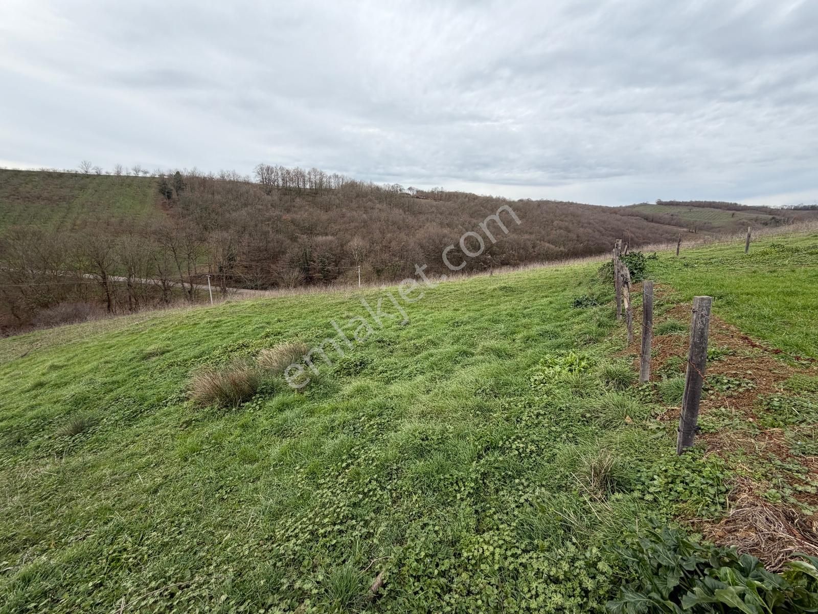 Kandıra Selimköyde Satılık Muhteşem Konumda Arta - Görsel 6