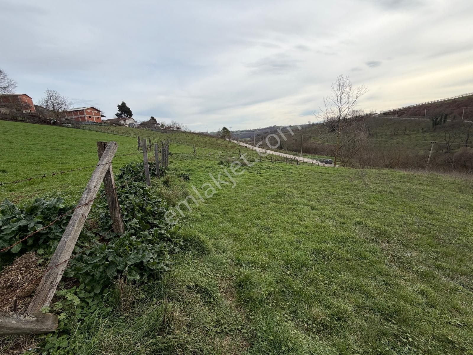 Kandıra Selimköyde Satılık Muhteşem Konumda Arta - Görsel 8