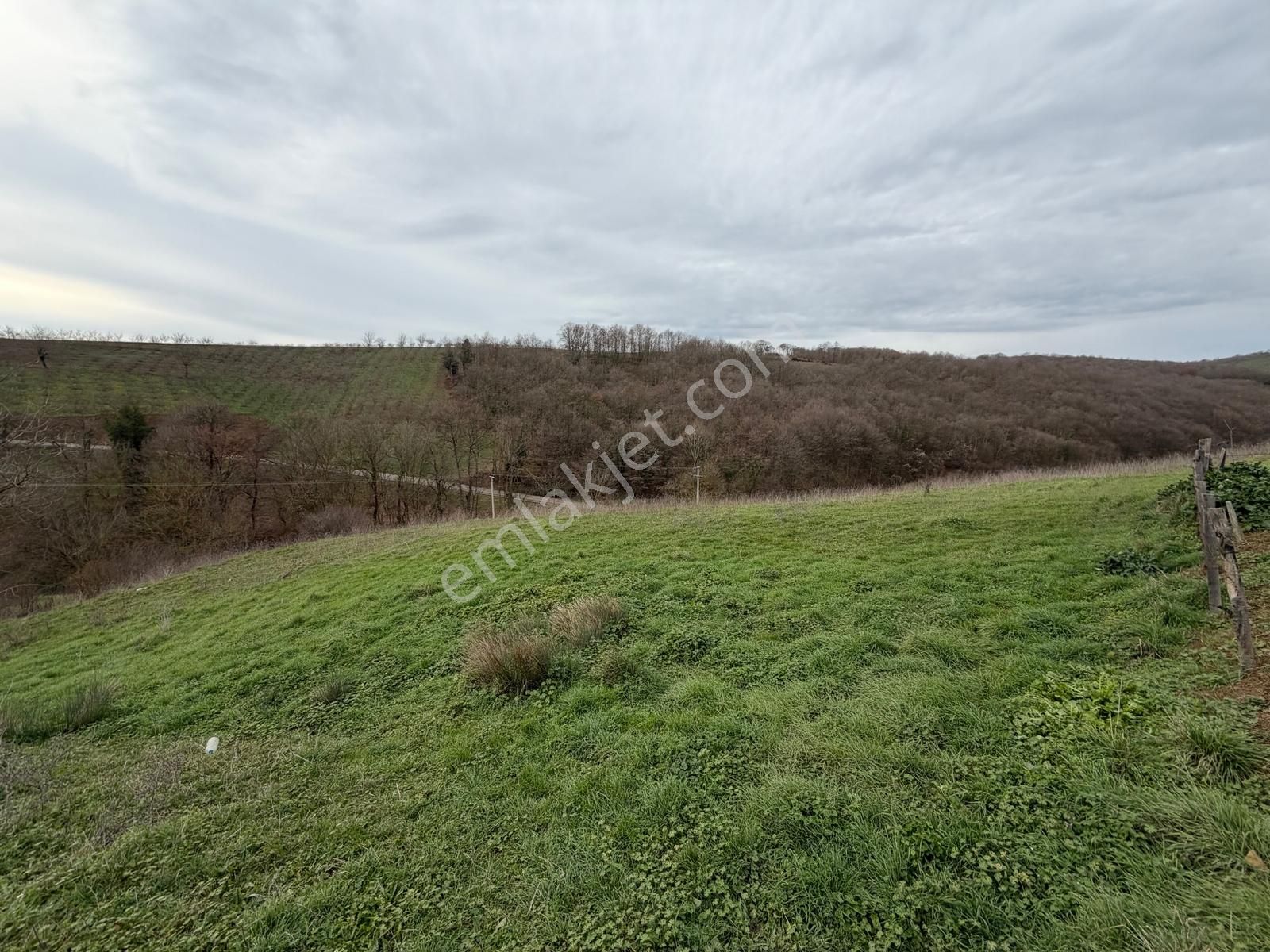 Kandıra Selimköyde Satılık Muhteşem Konumda Arta - Görsel 7