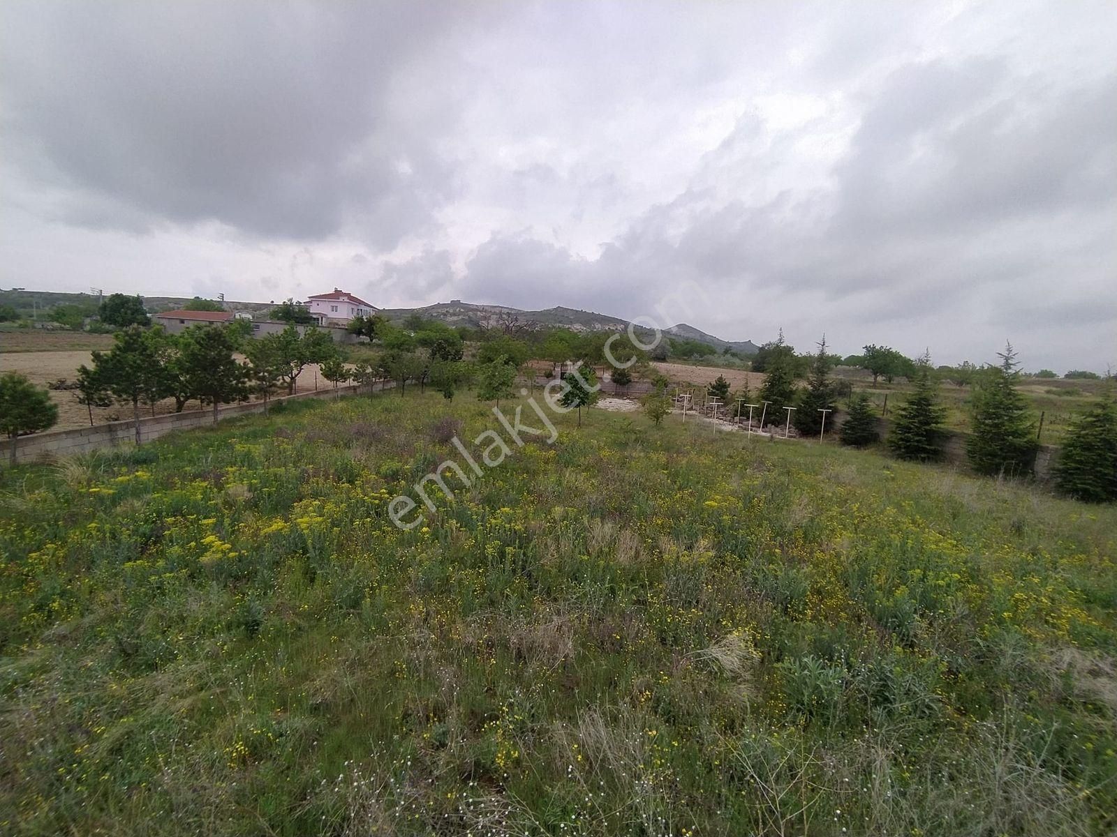 Ürgüp İbrahim Paşa'da Satılık Evli Bağ