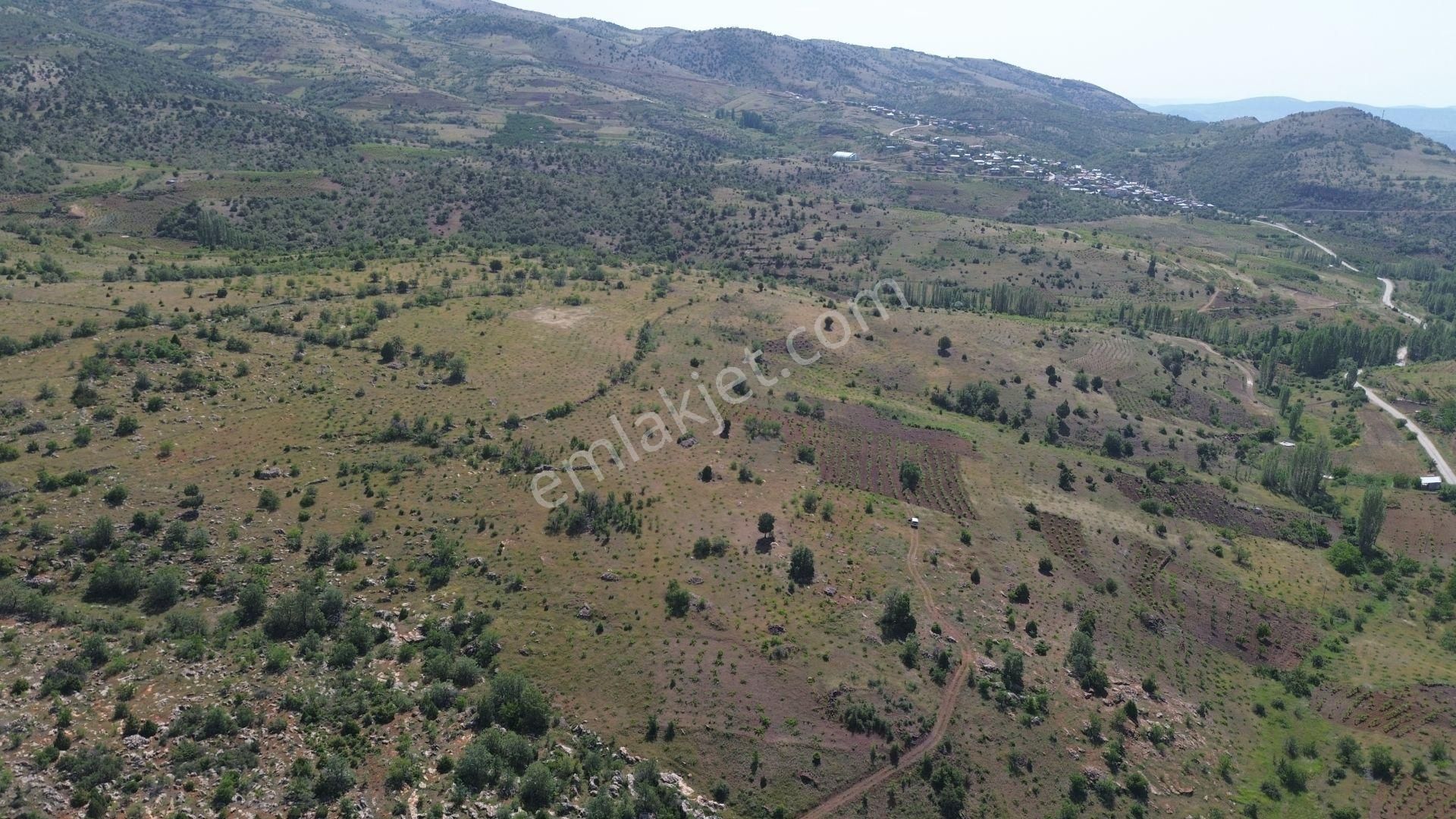 Hadim Aşağıeşenler De 774 M2 Müstakil Tapulu Bağ - Görsel 4