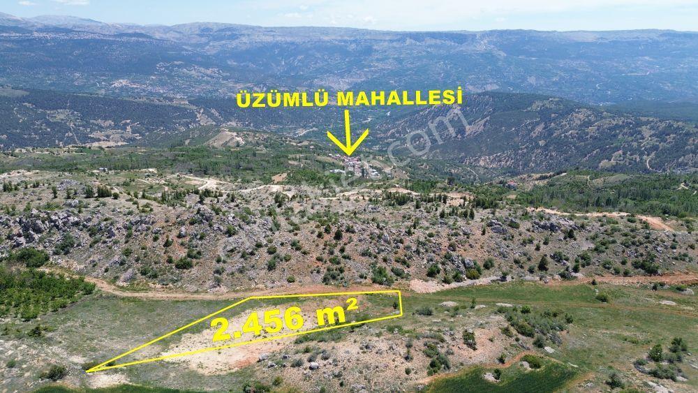 Karaman / Başyayla / Üzümlü Mahallesinde 2.456 M² Müstakil Tapulu Tarla - Görsel 7