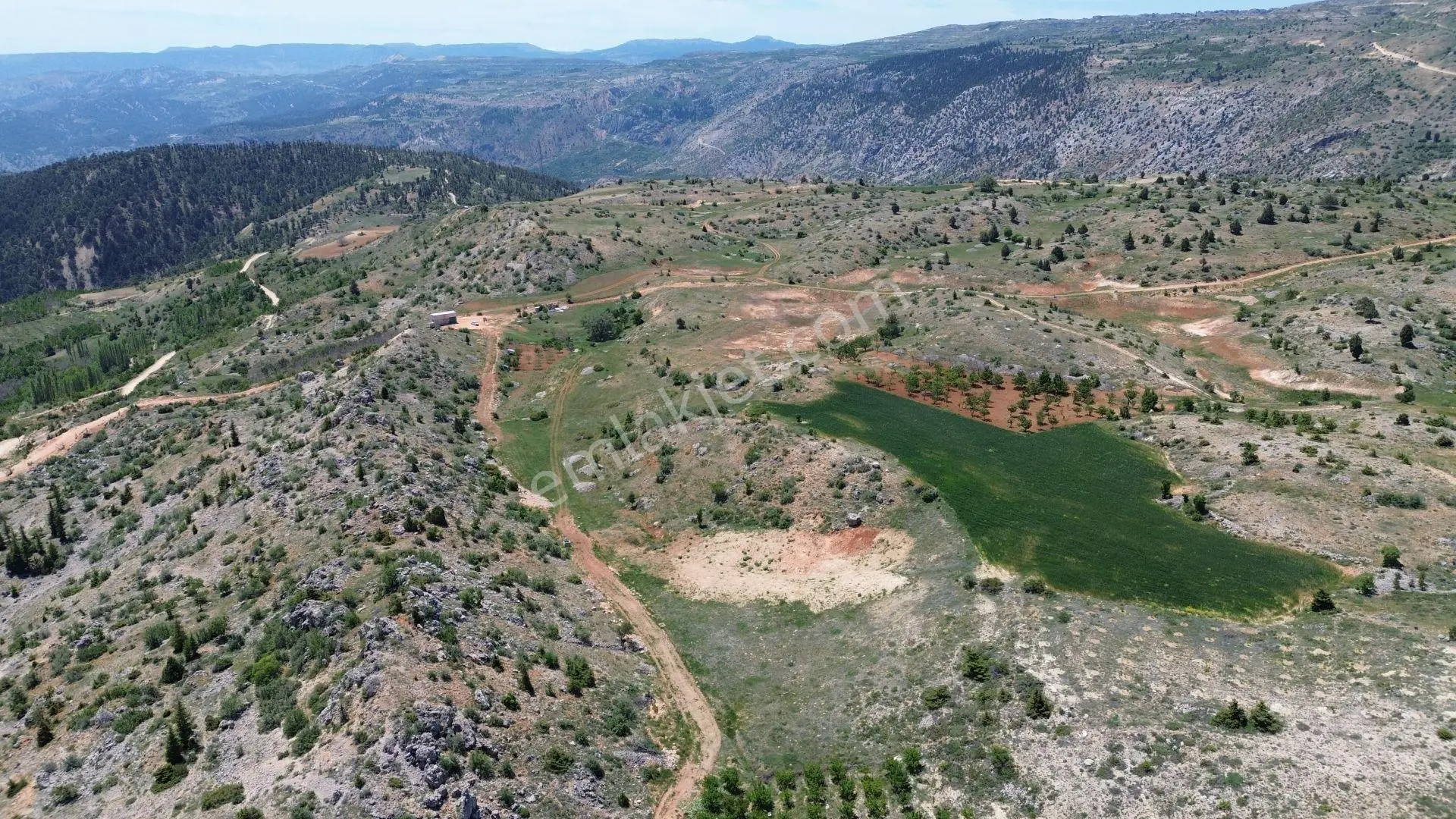 Karaman / Başyayla / Üzümlü Mahallesinde 2.456 M² Müstakil Tapulu Tarla - Görsel 3