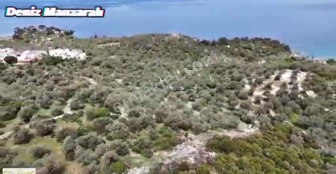 Dikili Bademlide 520 Gayrmenkulden 2 Tapu 22.870m2 Arsa Satılık