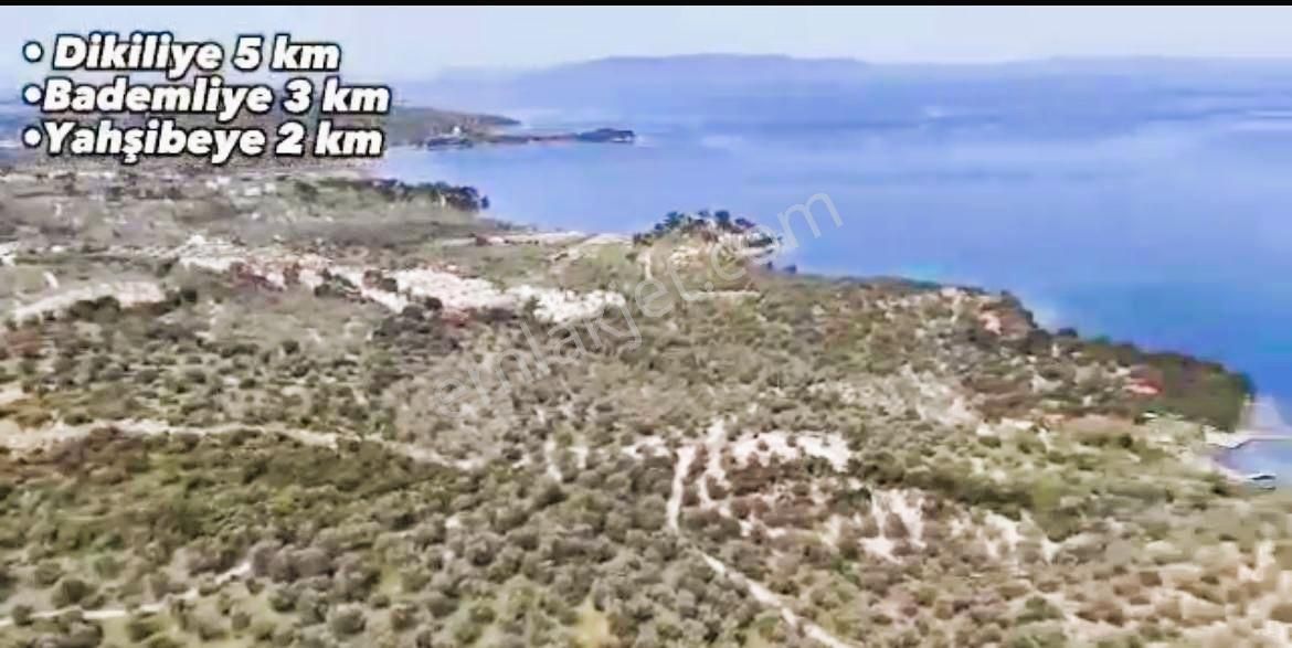 Dikili Bademlide 520 Gayrmenkulden 2 Tapu 22.870m2 Arsa Satılık - Görsel 4
