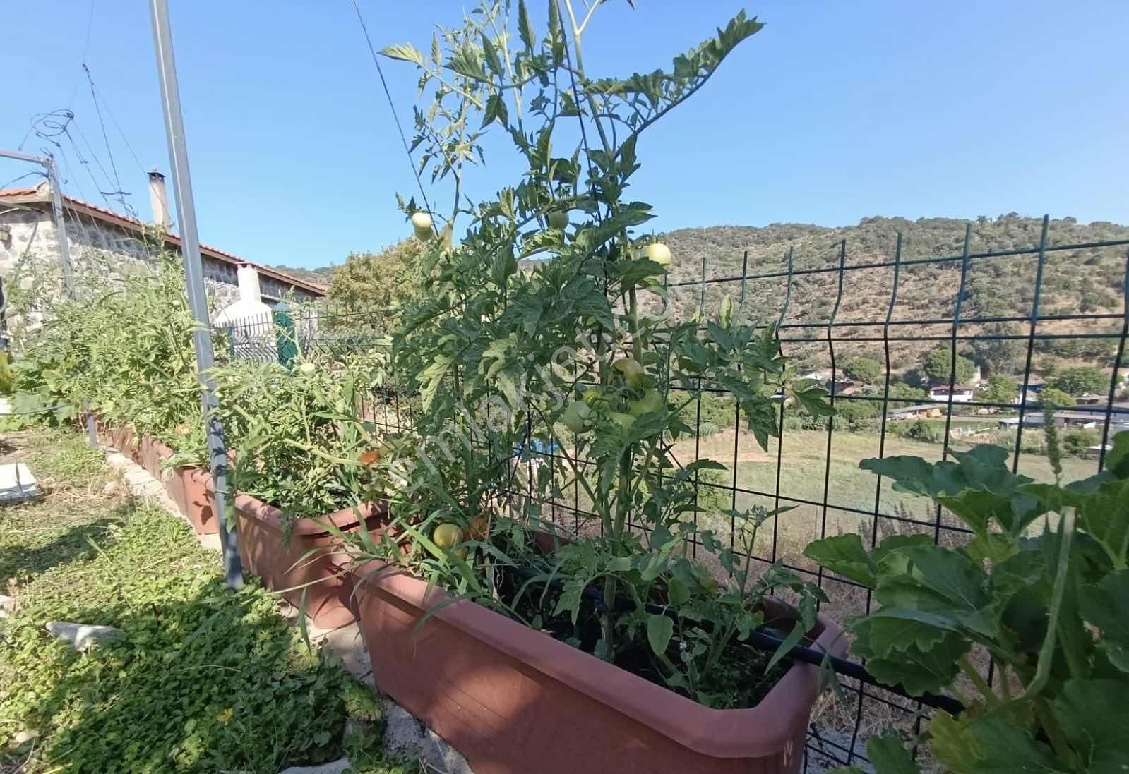 Söke'de Havuzlu 2+1 Doğa İle İç İçe Taş Ev - Görsel 27