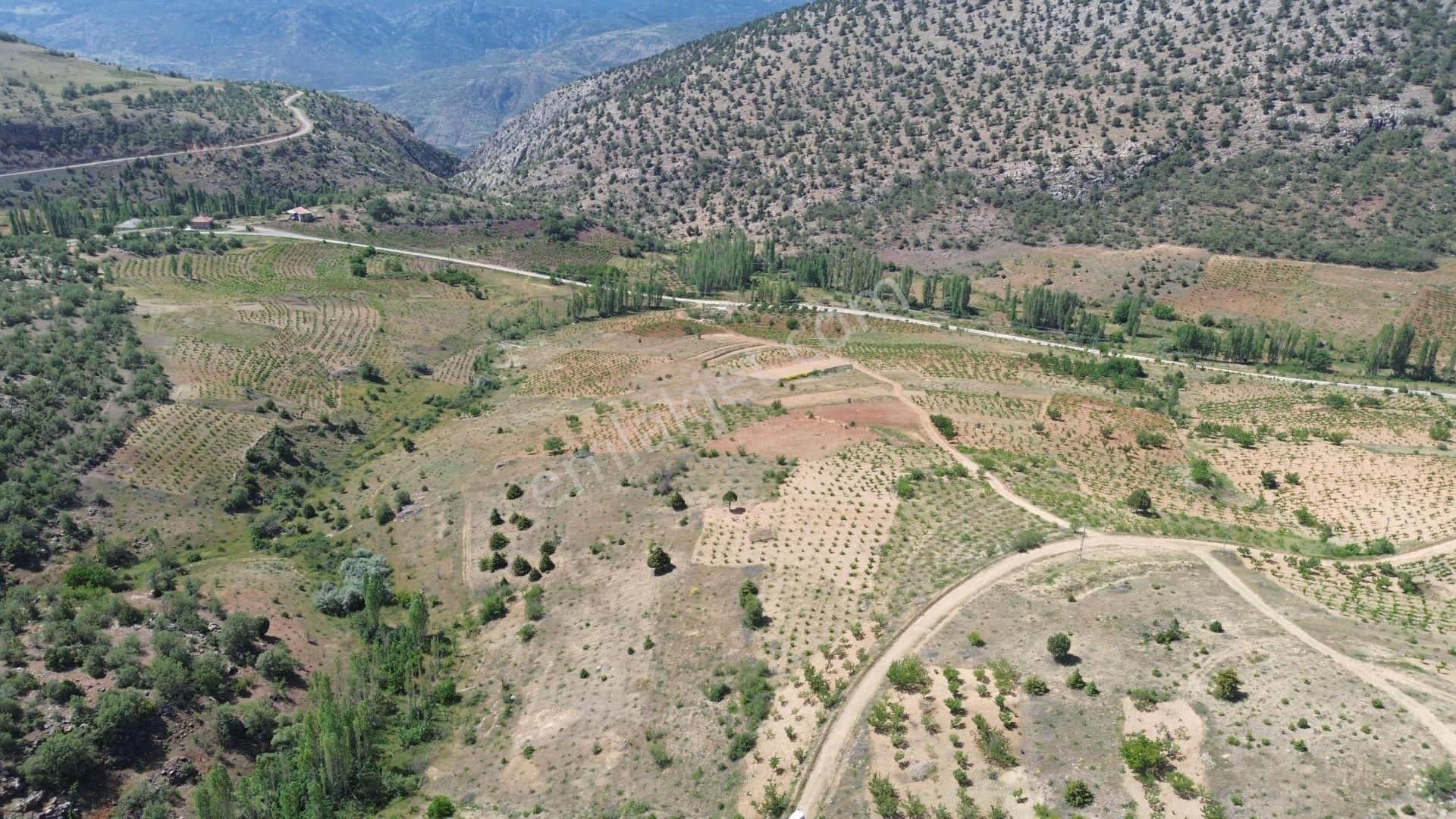 Hadim Aşağıeşenler De 2.242 M2 Müstakil Tapulu Bağ - Görsel 3