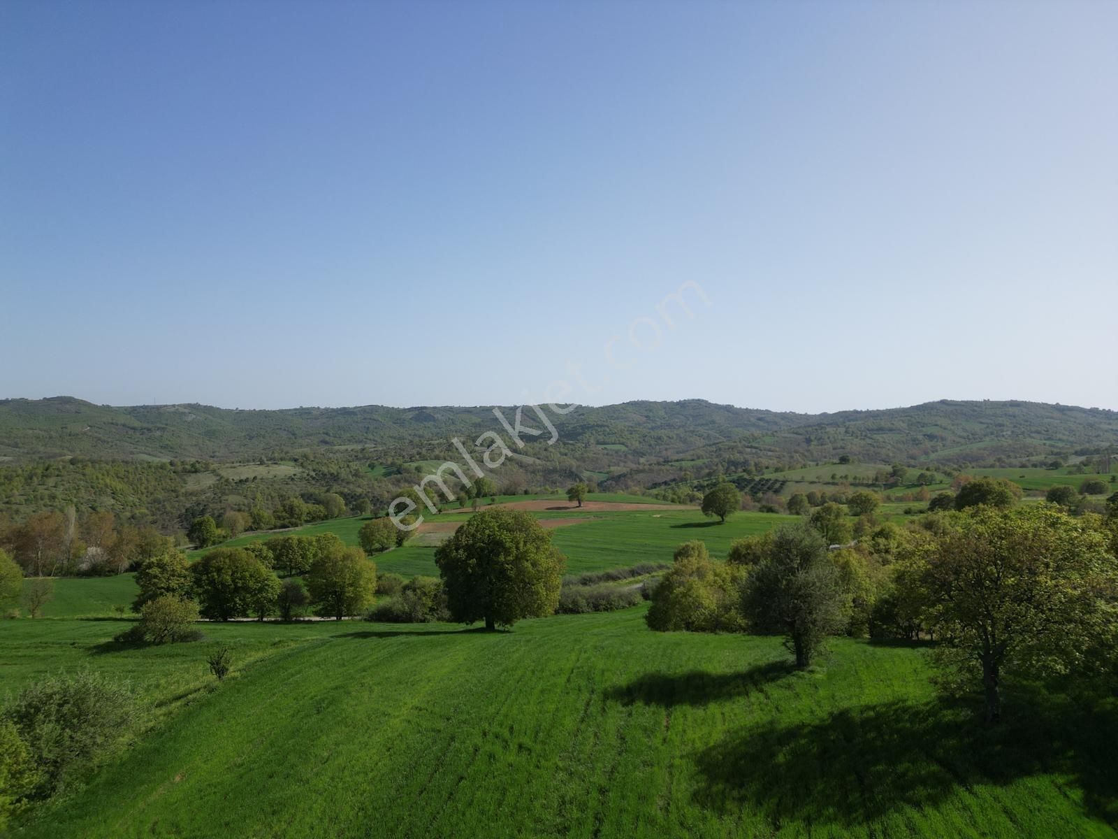 Turyap'tan Asfalt Yola Cepheli İçinde Suyu Olan Büyük Arazi