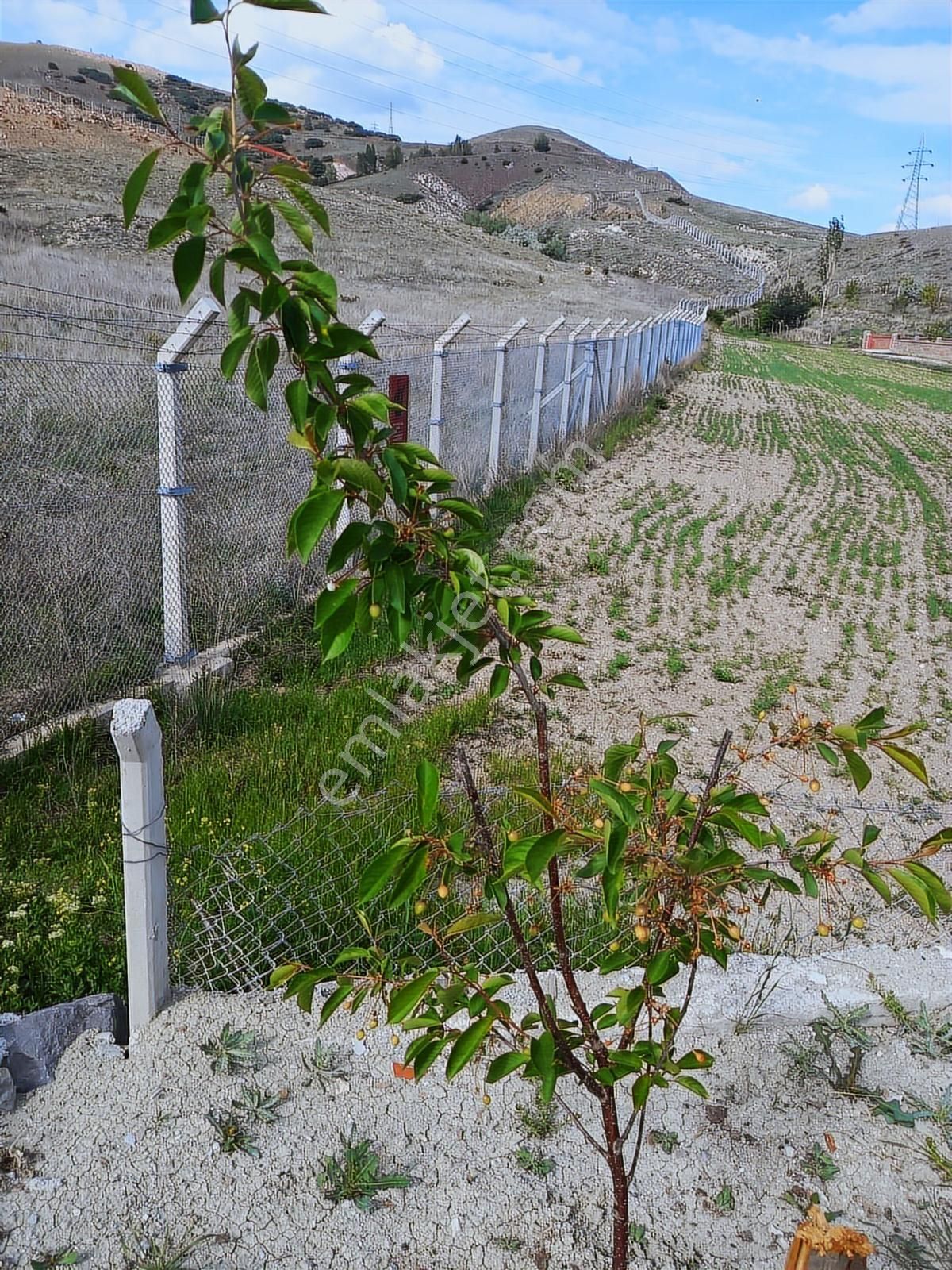 Bala- Beynamda 400 M2 İçinde 1+1 Yapılı Verandalı Müstakil Ev - Görsel 20