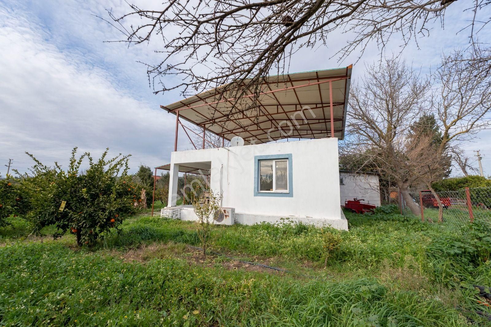 Seferihisar Ulamışta Mandalina Bahçesi Ve Müstakil Ev - Görsel 23