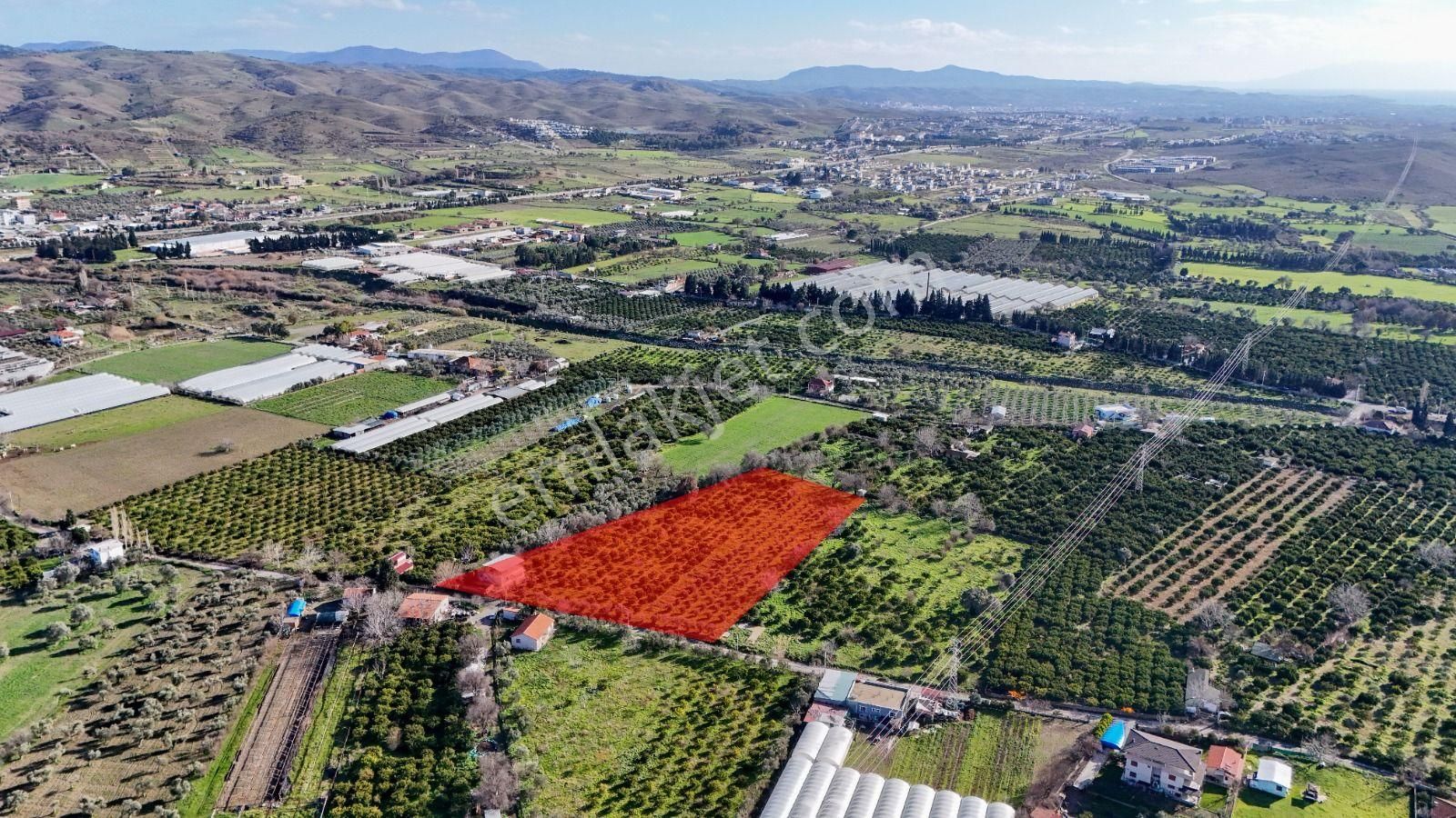 Seferihisar Ulamışta Mandalina Bahçesi Ve Müstakil Ev - Görsel 20