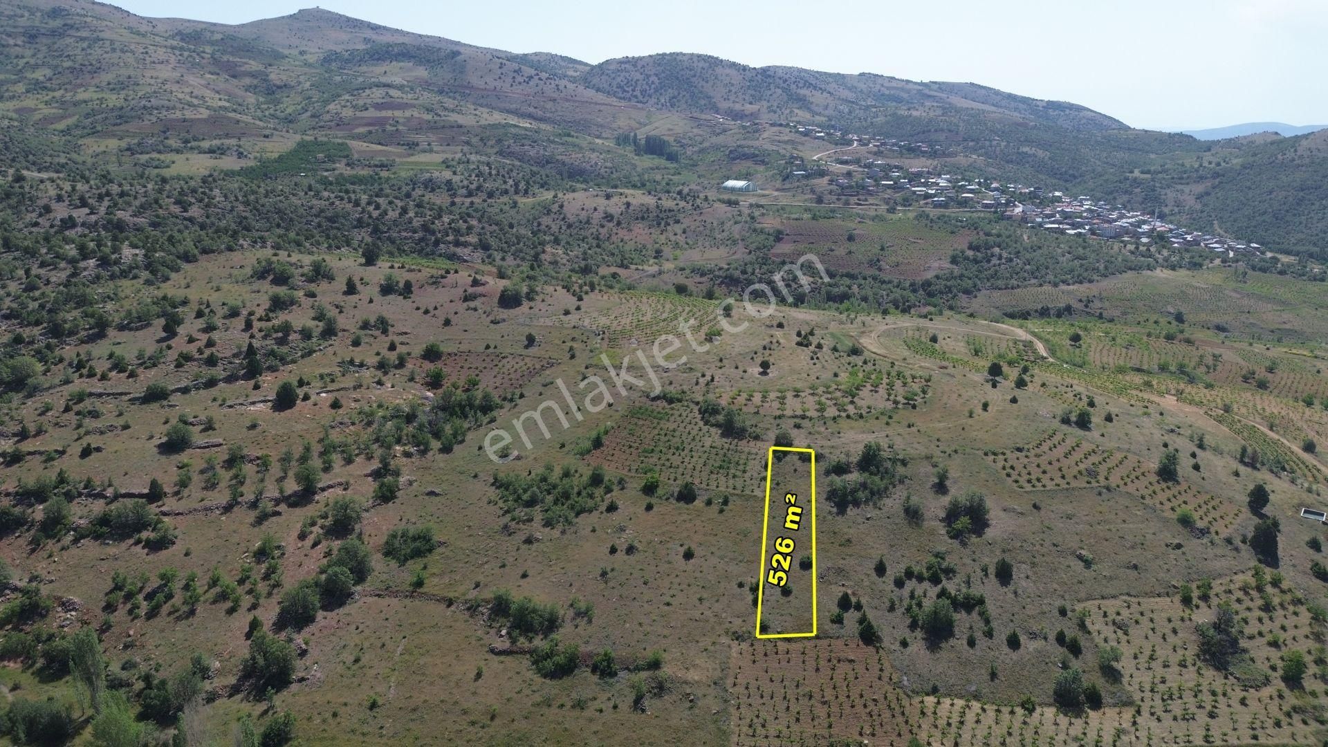 Hadim Aşağıeşenler De 526 M2 Müstakil Tapulu Bağ - Görsel 2