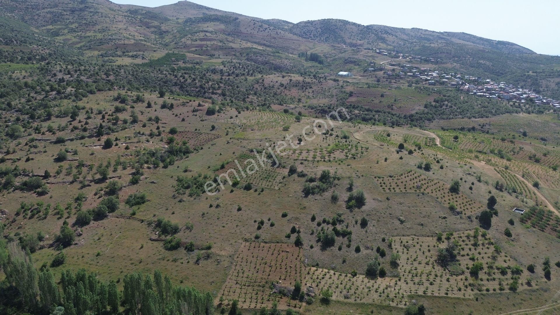 Hadim Aşağıeşenler De 526 M2 Müstakil Tapulu Bağ - Görsel 3
