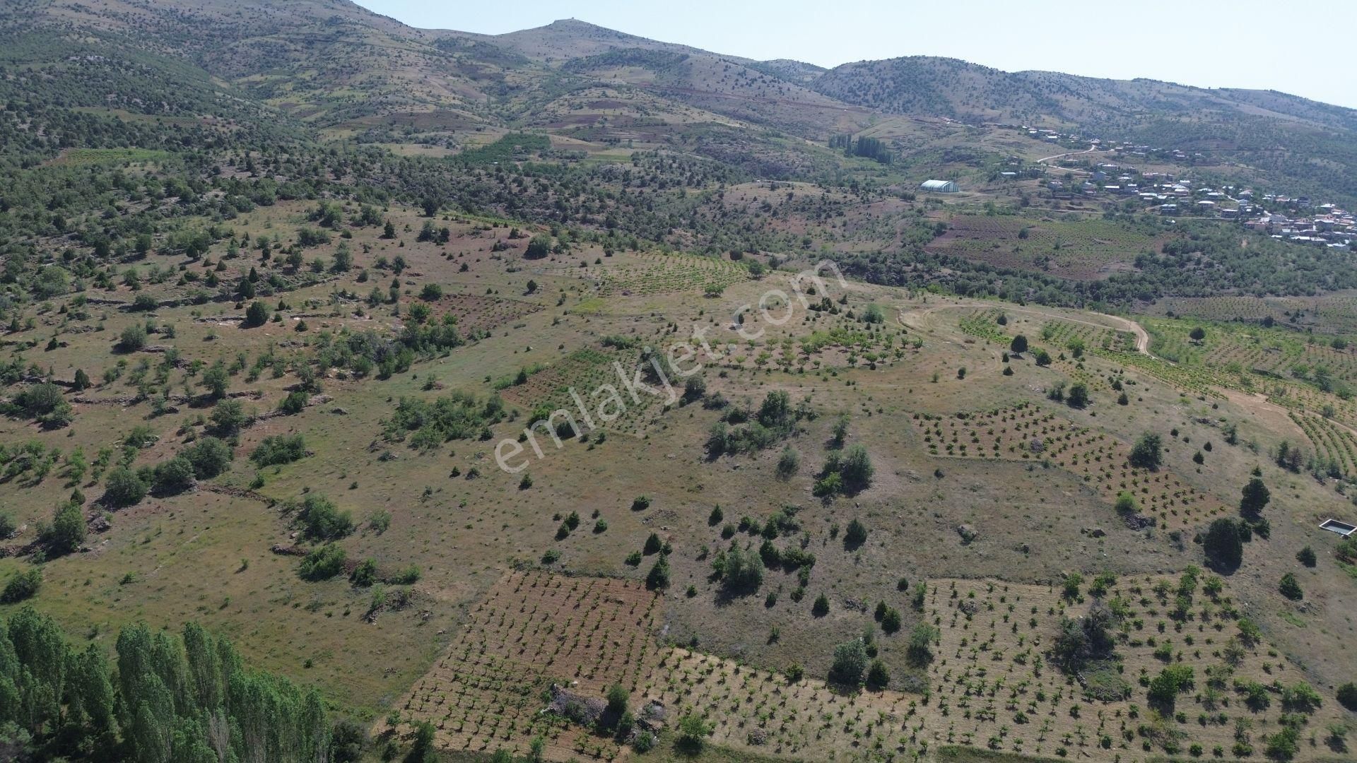 Hadim Aşağıeşenler De 526 M2 Müstakil Tapulu Bağ - Görsel 4