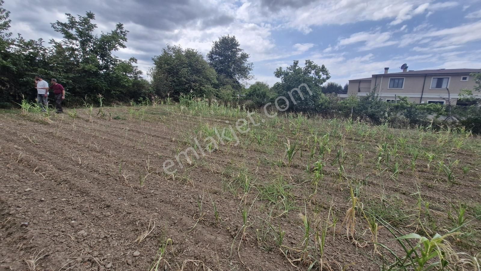 Kocaeli Kartepe Suadiye'de Villa İmarlı Satılık Fırsat Arsa!!! - Görsel 7