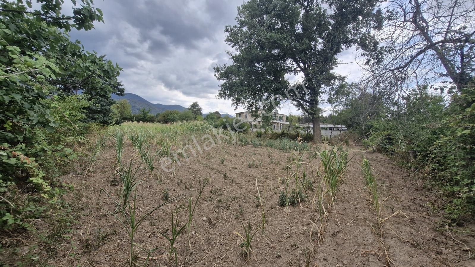 Kocaeli Kartepe Suadiye'de Villa İmarlı Satılık Fırsat Arsa!!! - Görsel 16