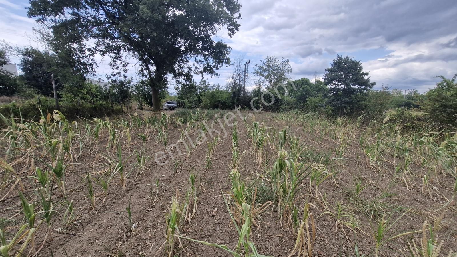 Kocaeli Kartepe Suadiye'de Villa İmarlı Satılık Fırsat Arsa!!! - Görsel 12