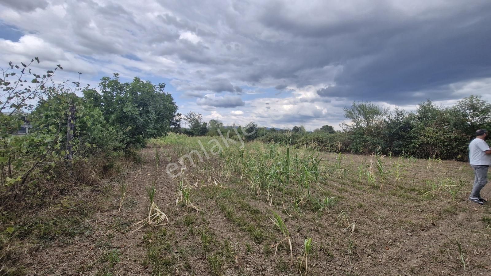 Kocaeli Kartepe Suadiye'de Villa İmarlı Satılık Fırsat Arsa!!! - Görsel 18