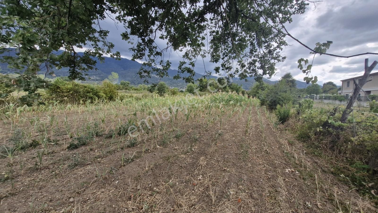 Kocaeli Kartepe Suadiye'de Villa İmarlı Satılık Fırsat Arsa!!! - Görsel 21