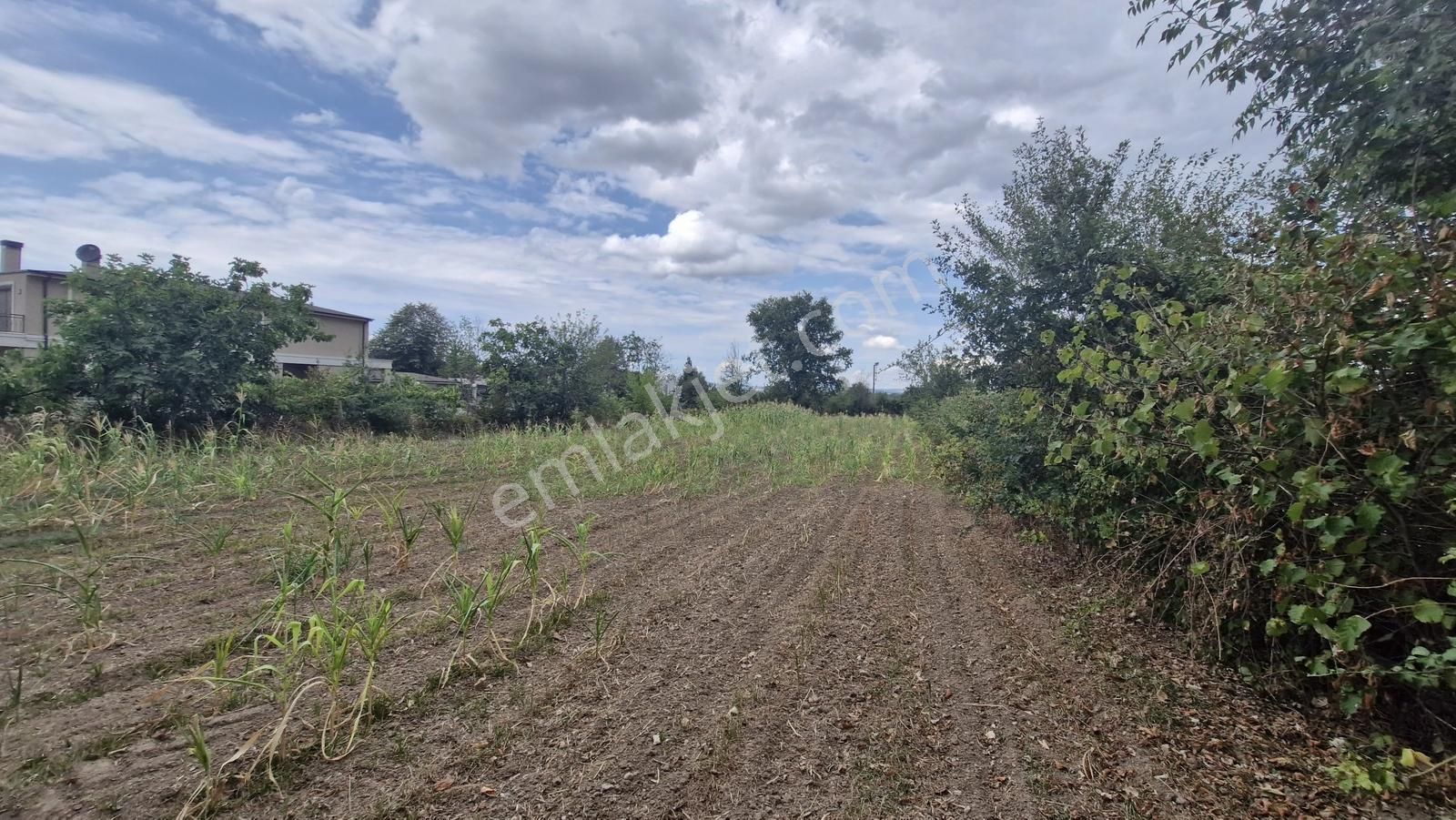 Kocaeli Kartepe Suadiye'de Villa İmarlı Satılık Fırsat Arsa!!!