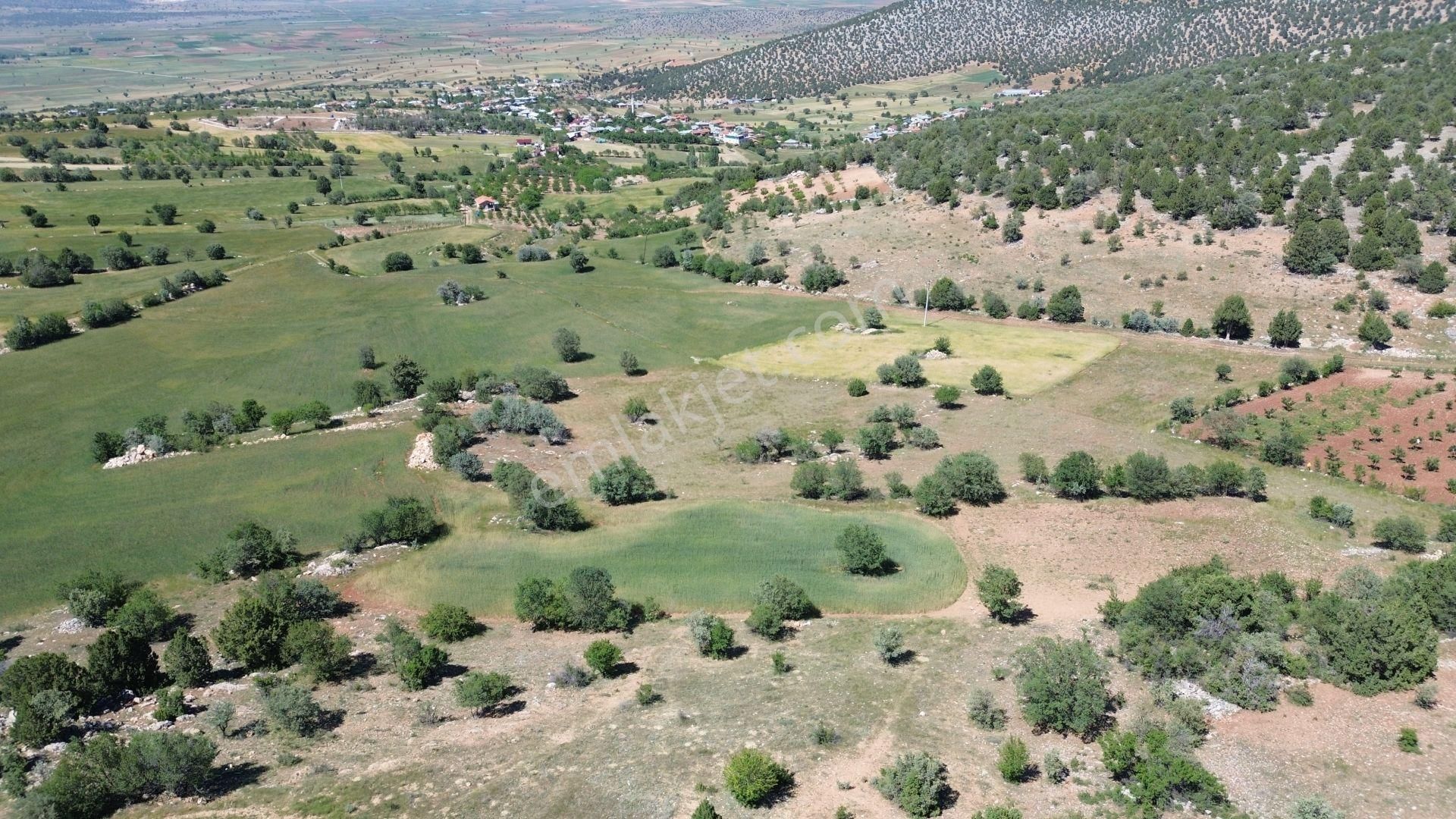 Konya / Akören / Alan Mahallesinde 2.832 M² Müstakil Tapulu Tarla - Görsel 3