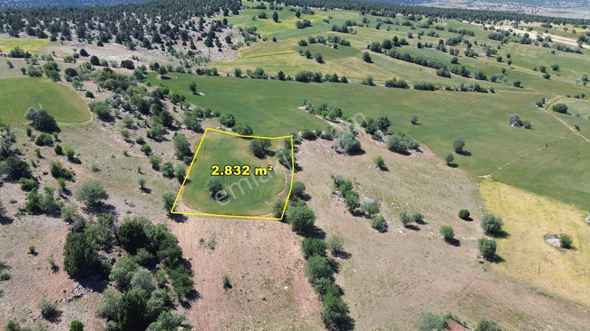 Konya / Akören / Alan Mahallesinde 2.832 M² Müstakil Tapulu Tarla - Görsel 2