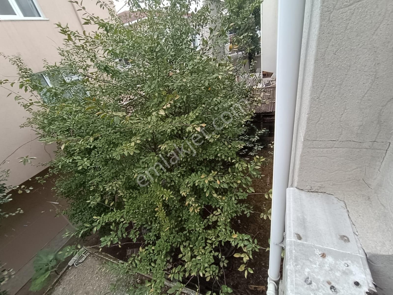 Tekirdağ Çorlu Havuzlar Mah. Cumhuriyet Parkı Altı Komple Satılık Bina - Görsel 28