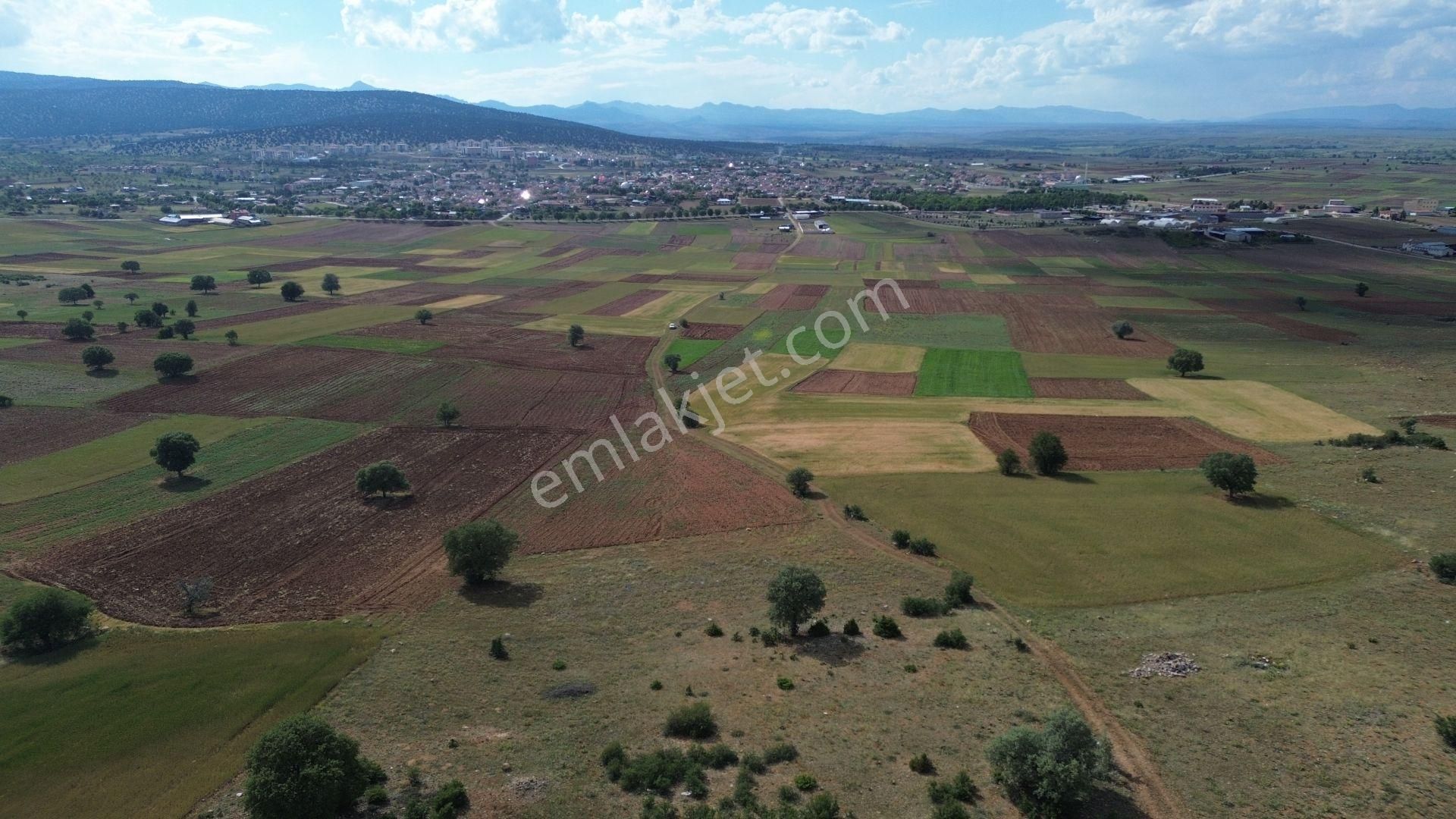 Akören Hacılar Da 1.972 M2 Müstakil Tapulu Arazi - Görsel 2