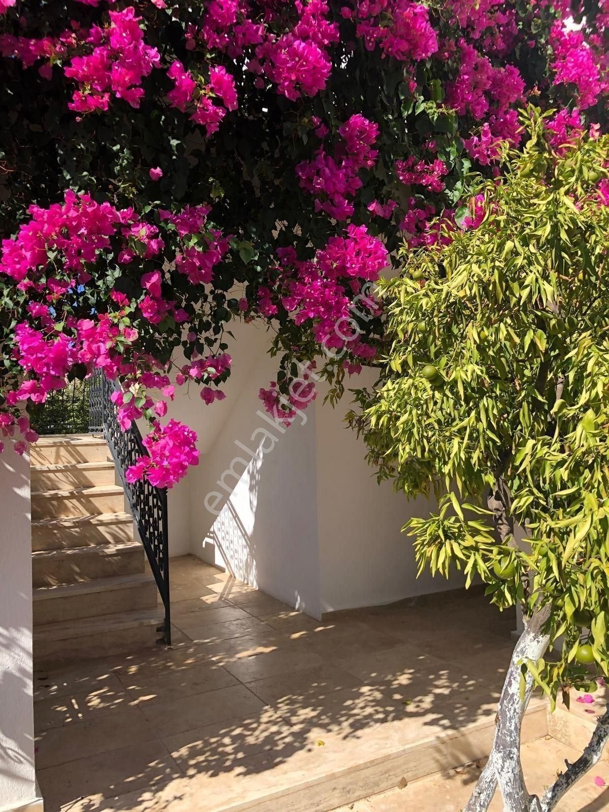 Bodrum Yalıkavak Sahilde Satılık 6 Daireli Site Ve 1200m2 Arsası - Görsel 7