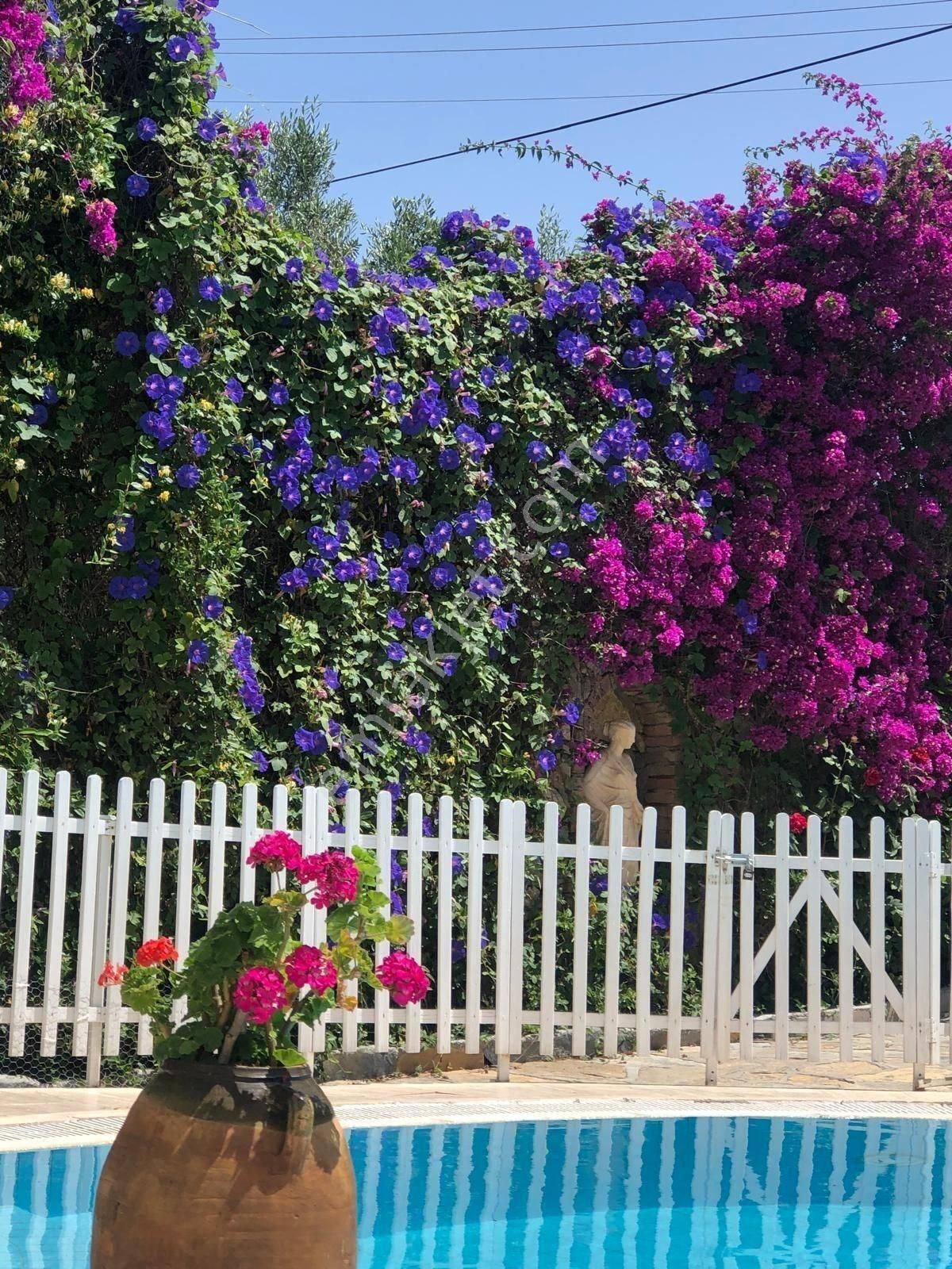 Bodrum Yalıkavak Sahilde Satılık 6 Daireli Site Ve 1200m2 Arsası - Görsel 6