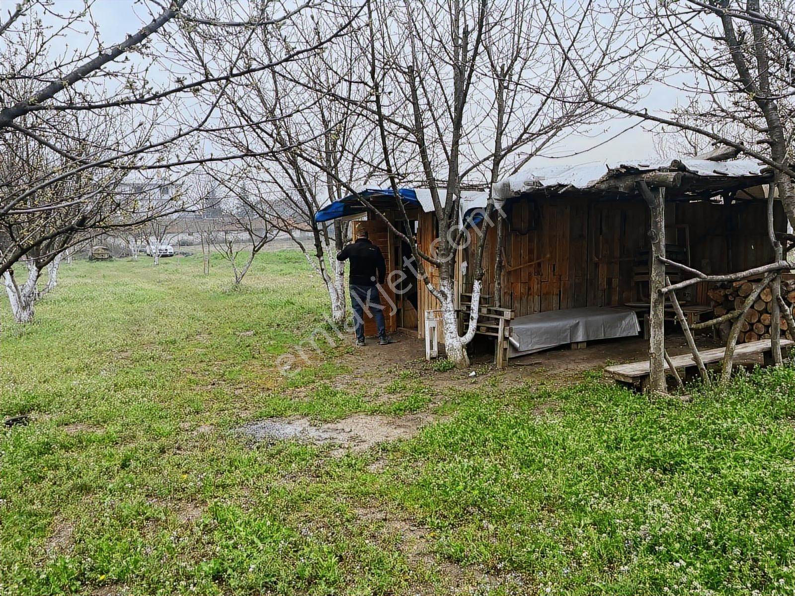 İnegöl Altınbaş Emlak'tan Çeltikçi'de Satılık Arsa - Görsel 2