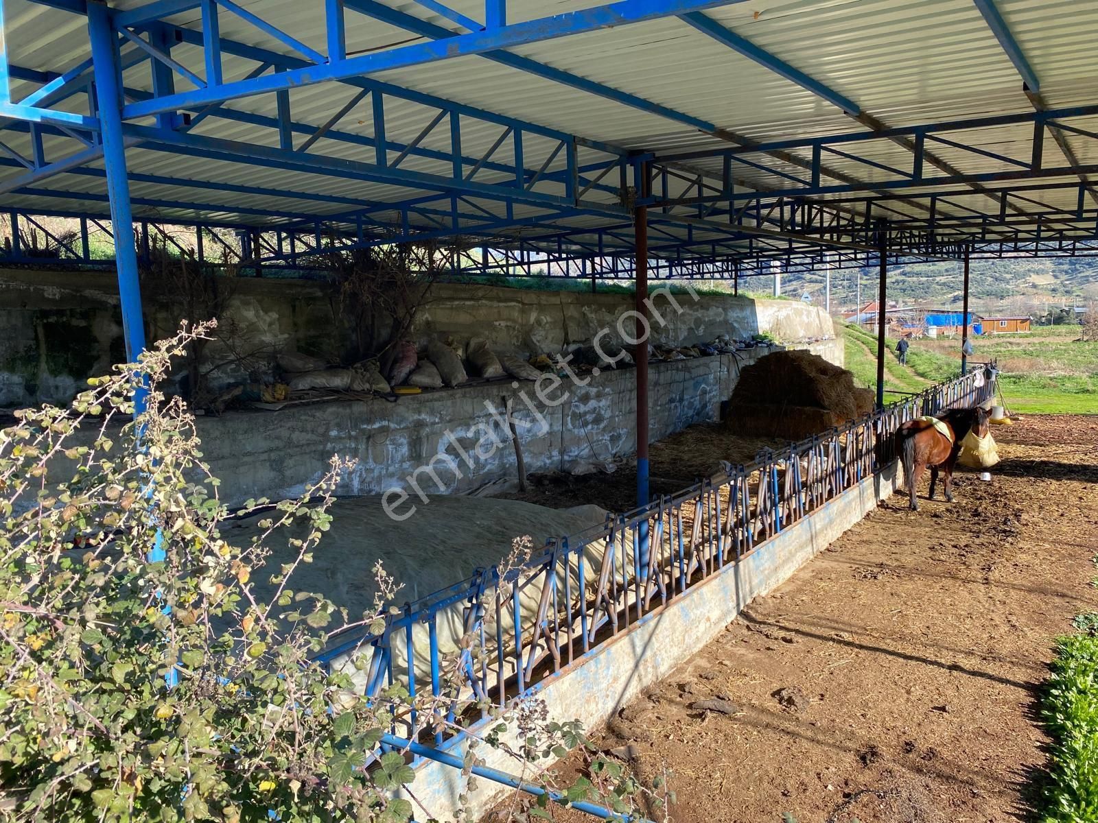 İzmir Beydağ Yağcılar’da Kaçırılmayacak Fırsat! - Görsel 2