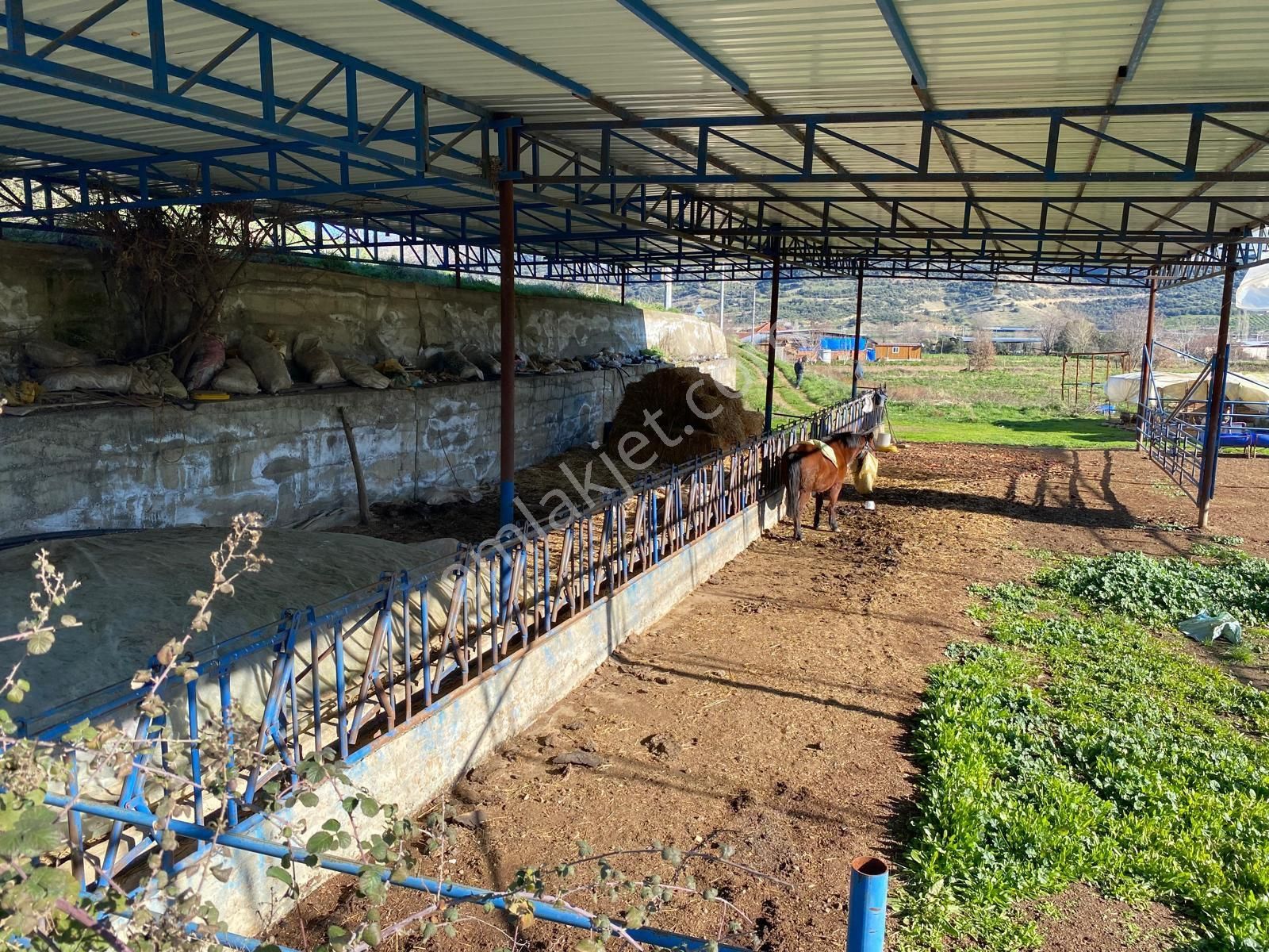 İzmir Beydağ Yağcılar’da Kaçırılmayacak Fırsat! - Görsel 8