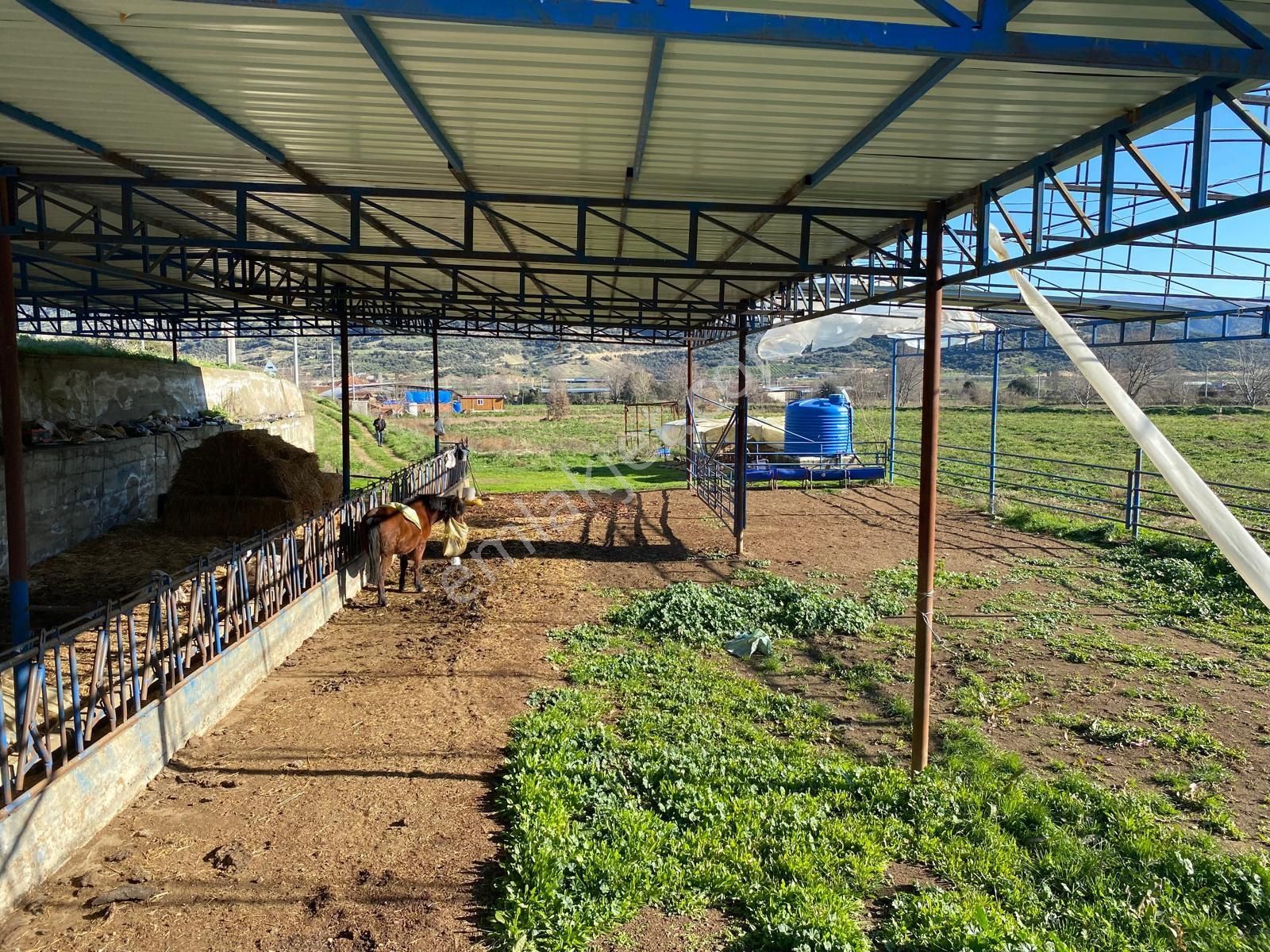 İzmir Beydağ Yağcılar’da Kaçırılmayacak Fırsat!