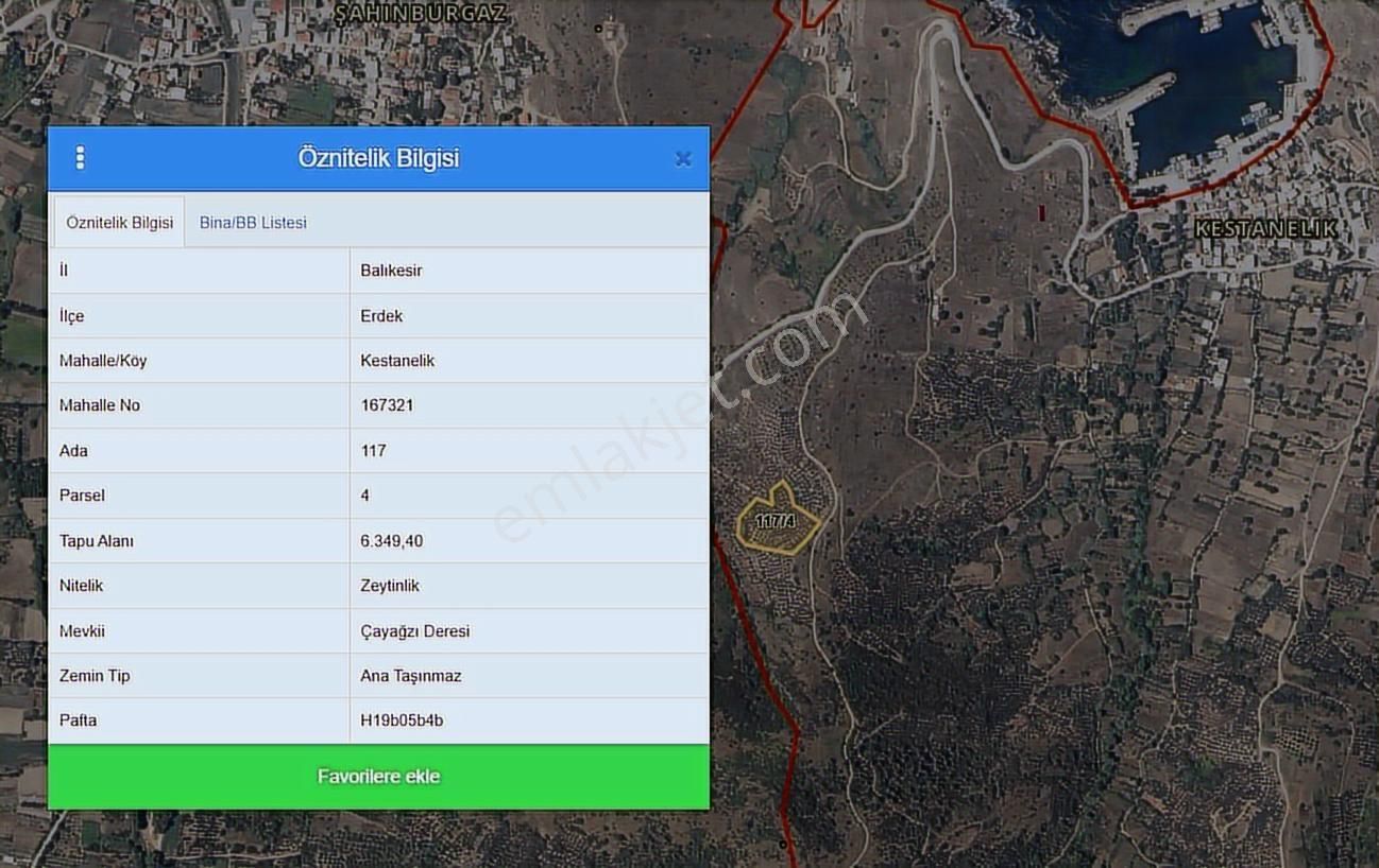 Balıkesir Erdek Kestanelikte Deniz Gören 6350 M2 Zeytinlik - Görsel 8