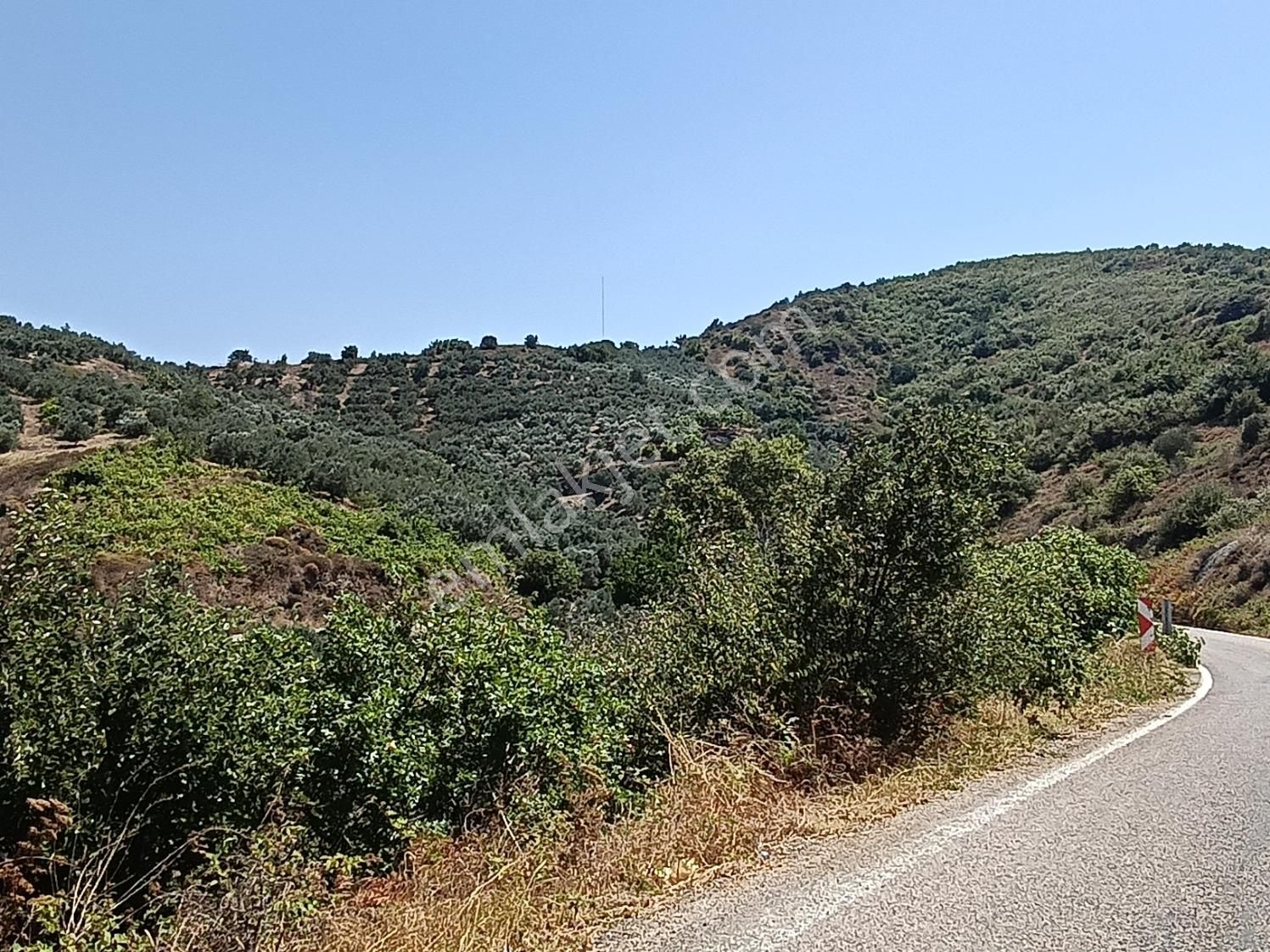 Balıkesir Erdek Kestanelikte Deniz Gören 6350 M2 Zeytinlik - Görsel 10