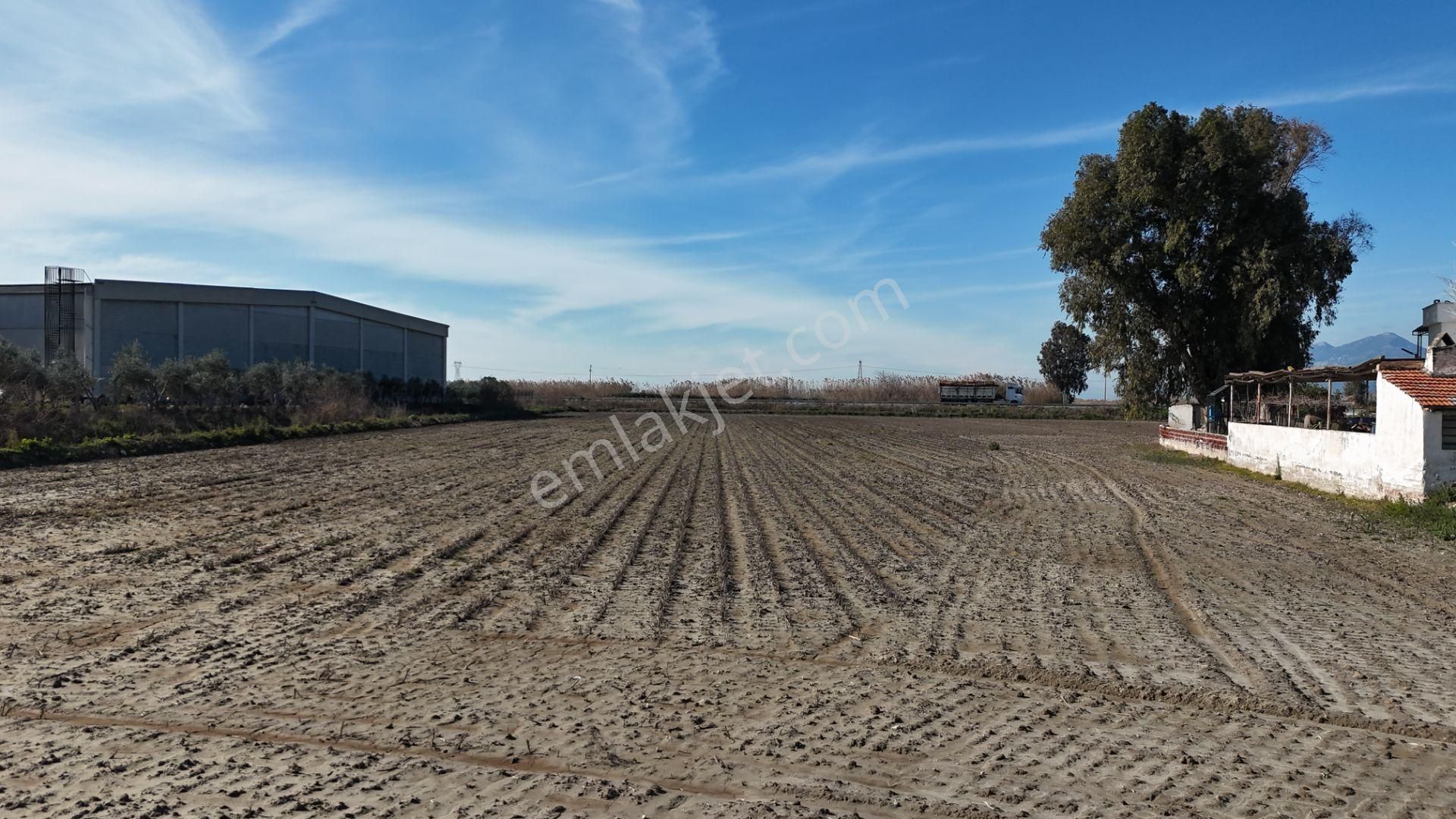 Söke-bodrum Karayolu Üzerinde Satılık - Sanayi İmarlı Arazi - Görsel 4