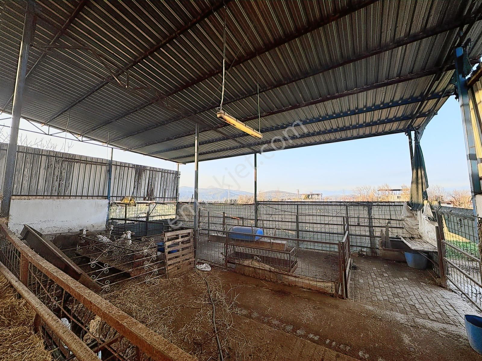 Kaçmazer'den Tire Merkeze Yakın Satılık Çiftlik - Görsel 18