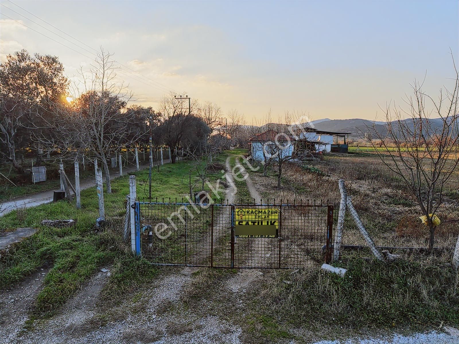 Kaçmazer'den Tire Merkeze Yakın Satılık Çiftlik