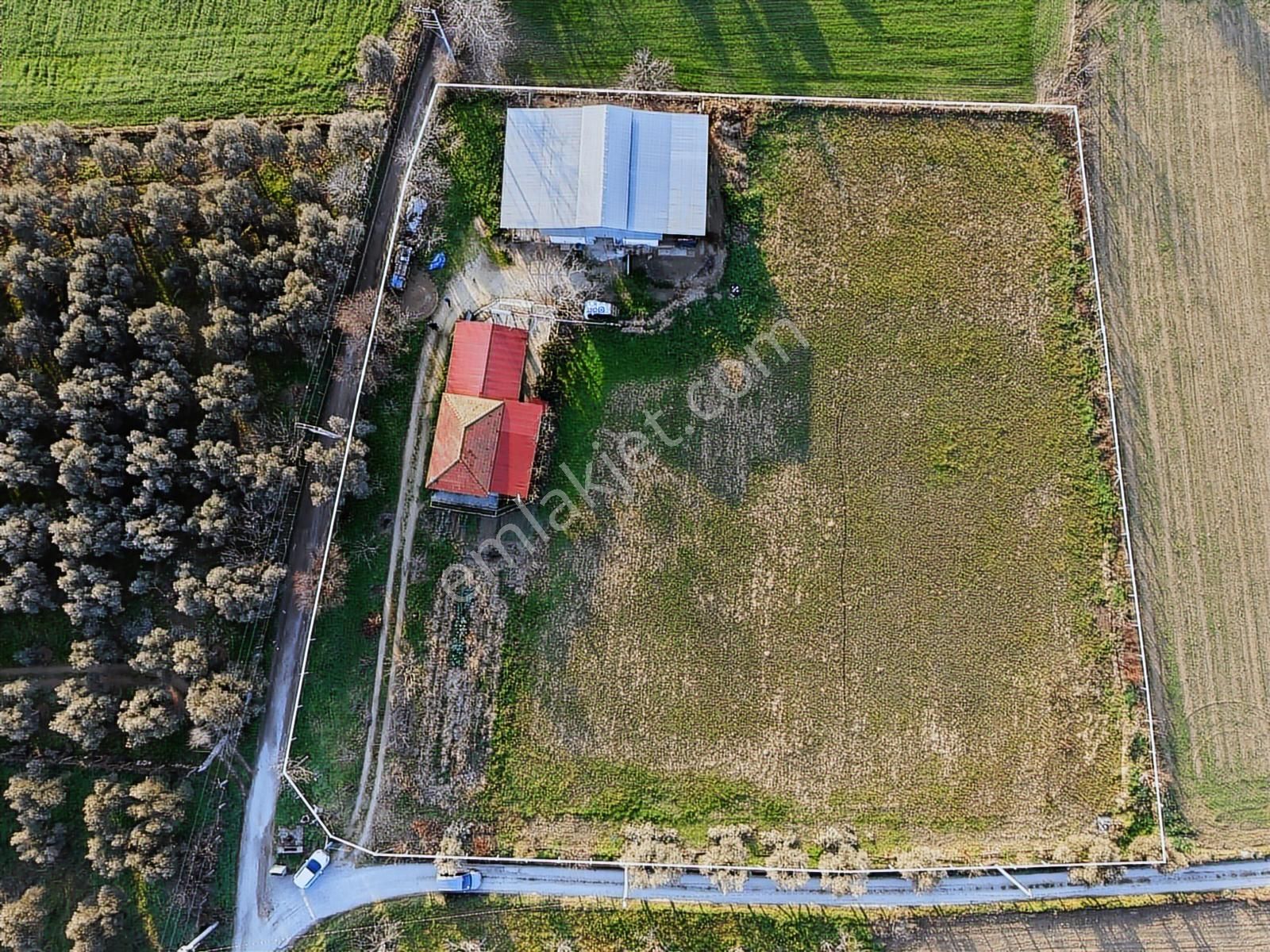 Kaçmazer'den Tire Merkeze Yakın Satılık Çiftlik - Görsel 19