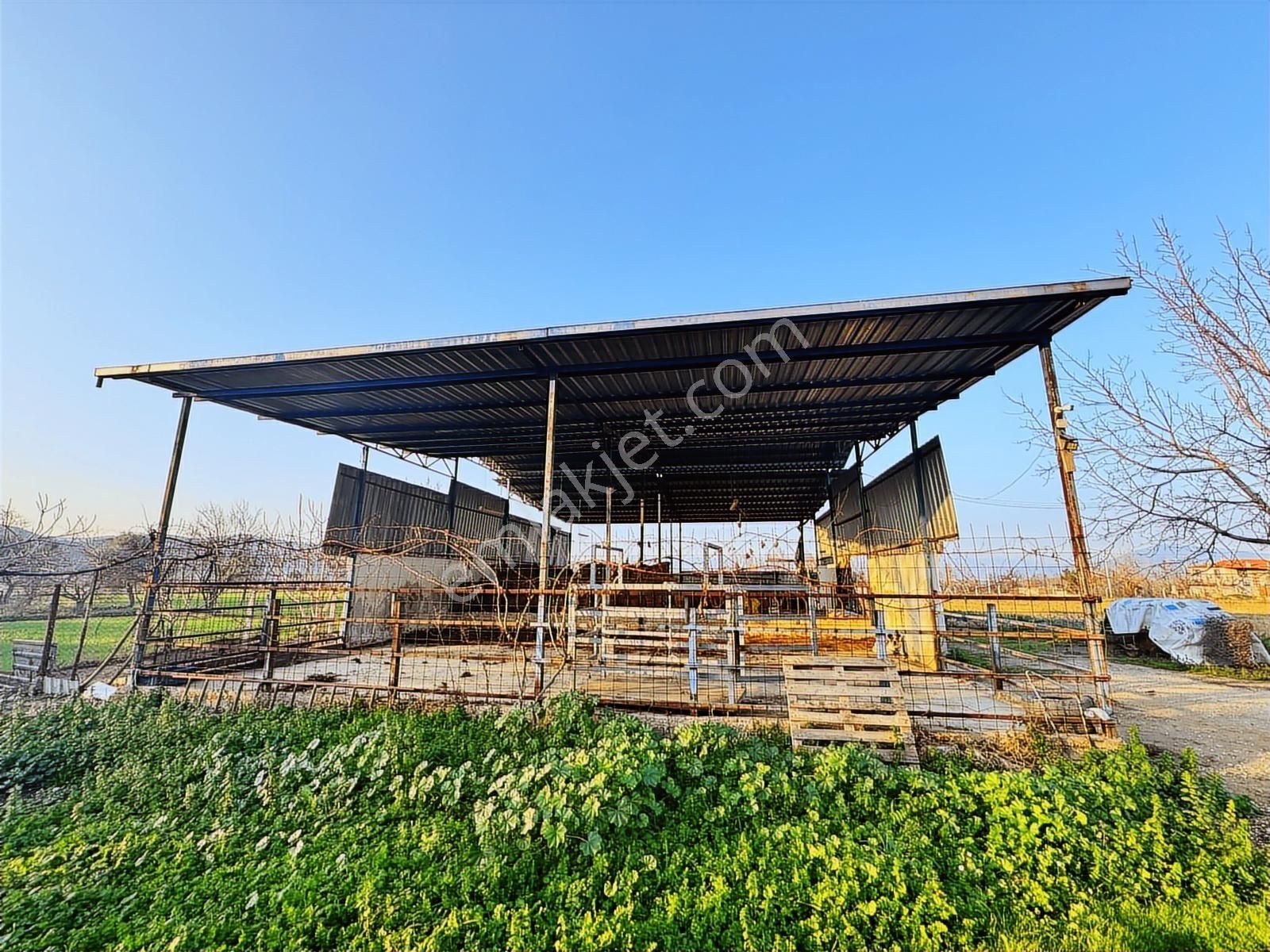 Kaçmazer'den Tire Merkeze Yakın Satılık Çiftlik - Görsel 17